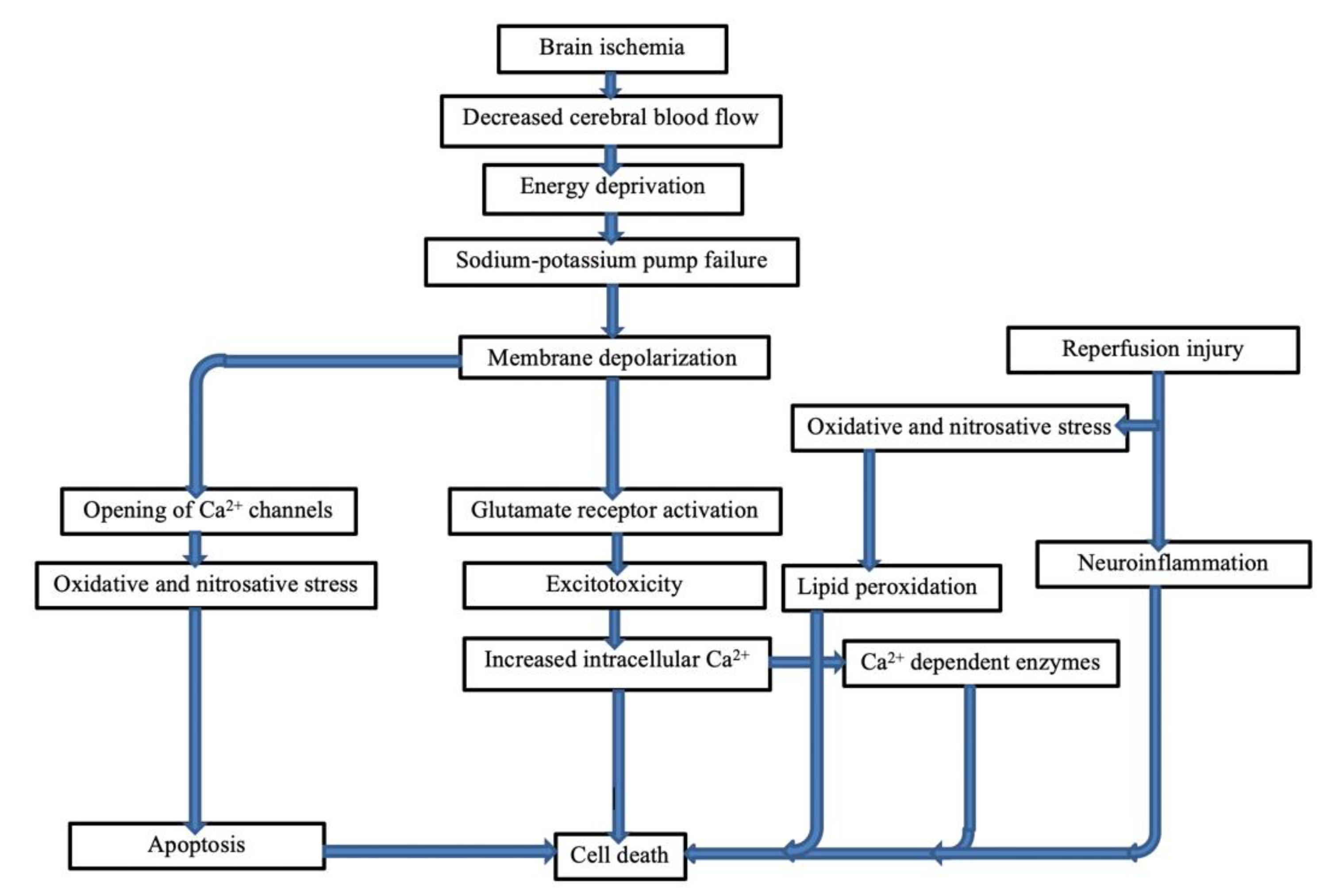 Ijms 23 05796 g002 Ijms 23 05796 g002