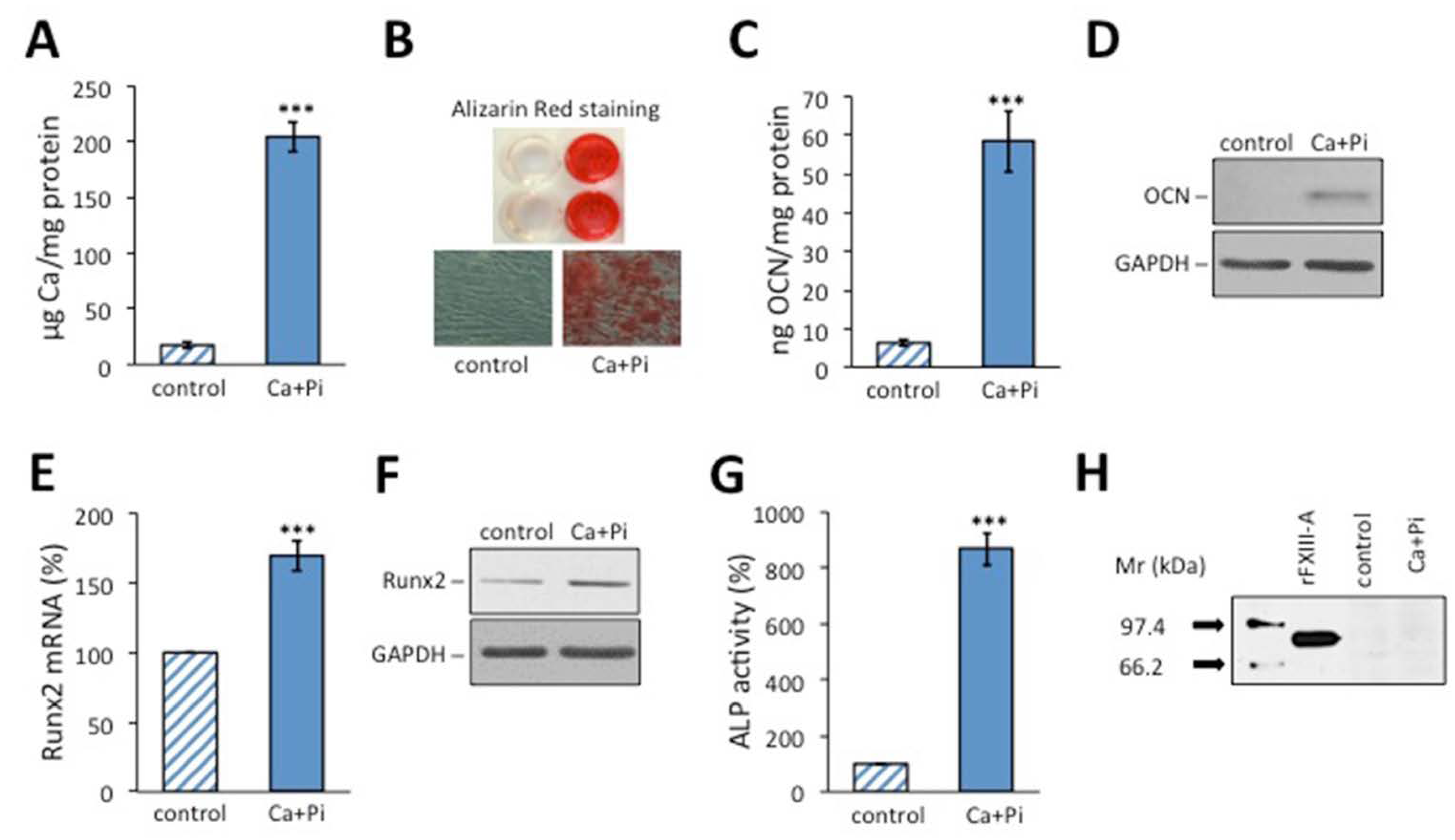 Ijms 23 05845 g001 Ijms 23 05845 g001