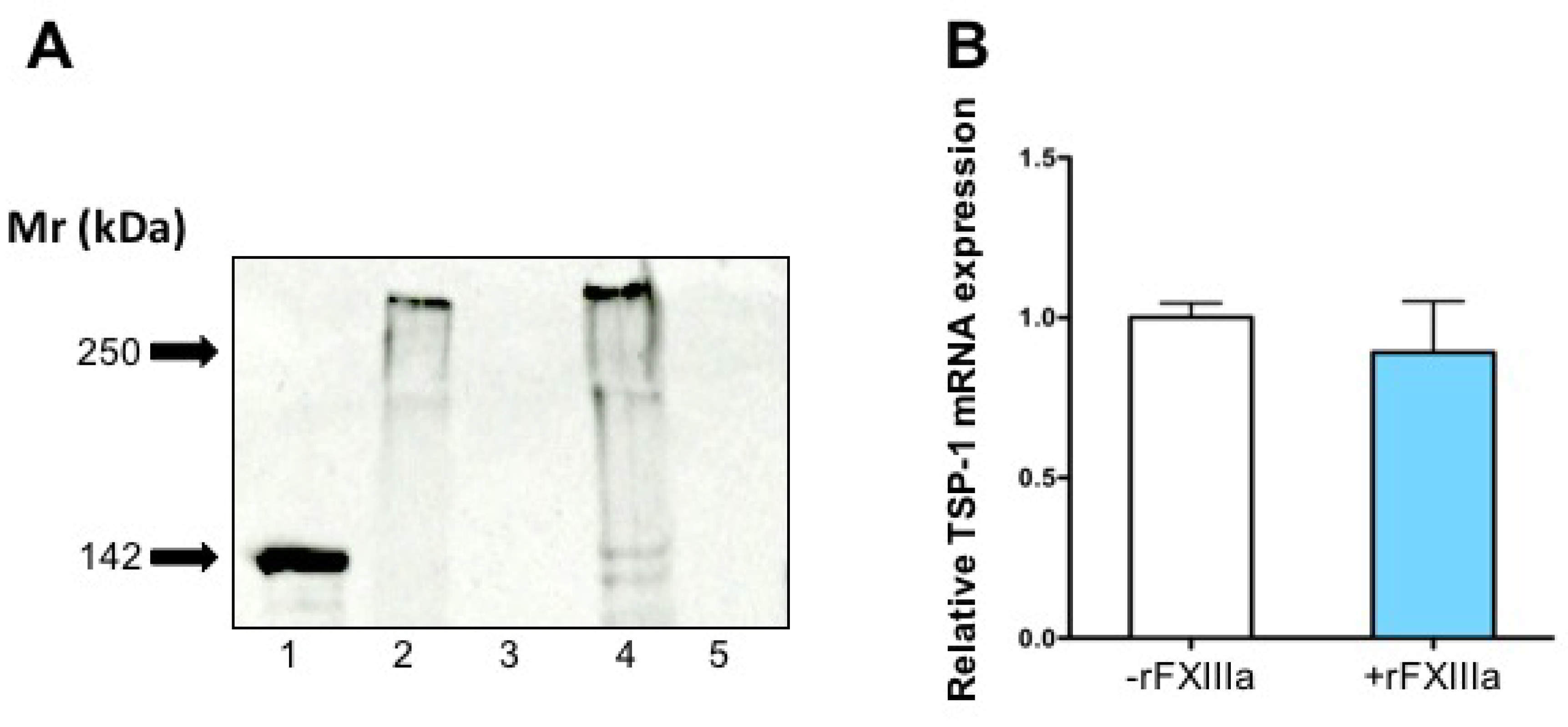 Ijms 23 05845 g007 Ijms 23 05845 g007