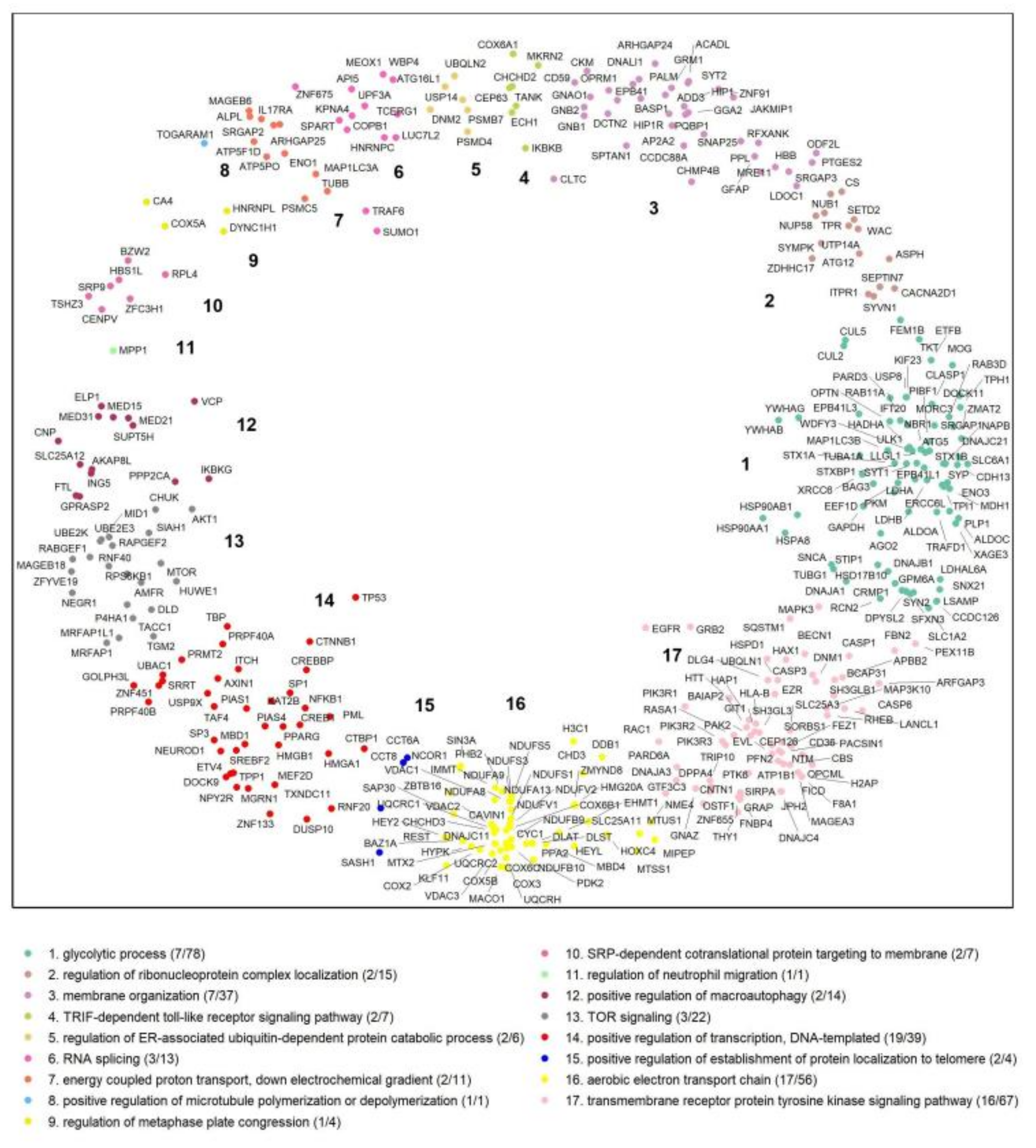 Ijms 23 05853 g002 Ijms 23 05853 g002