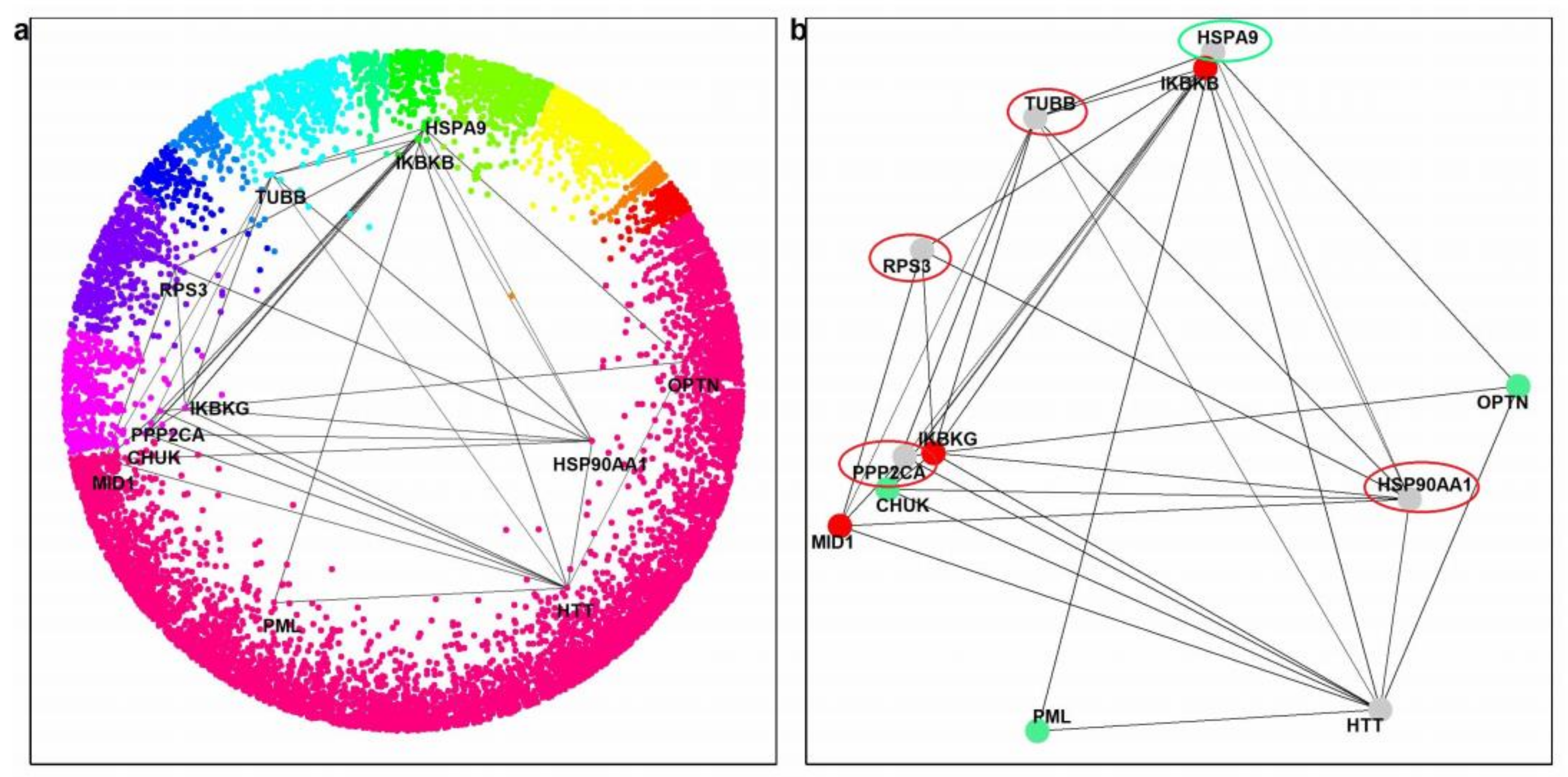 Ijms 23 05853 g004 Ijms 23 05853 g004