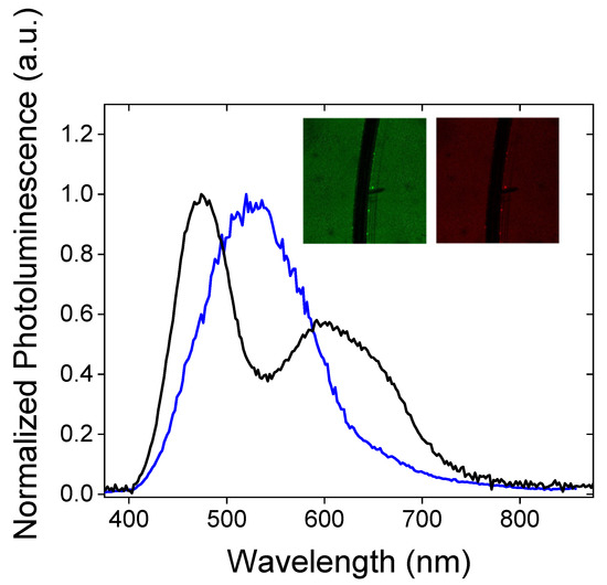 Ijms 23 05886 g008 550