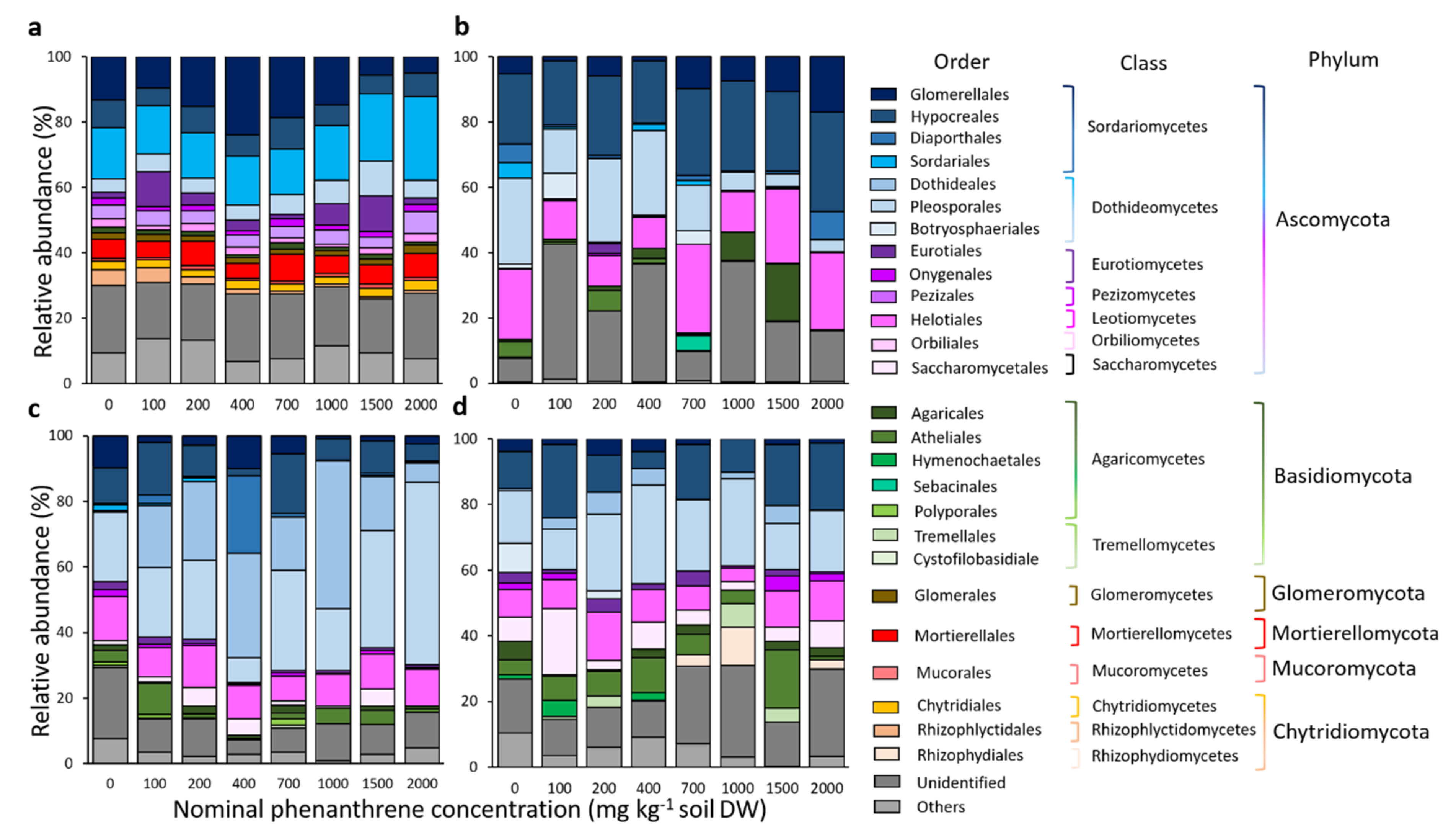 Ijms 23 05909 g005 Ijms 23 05909 g005
