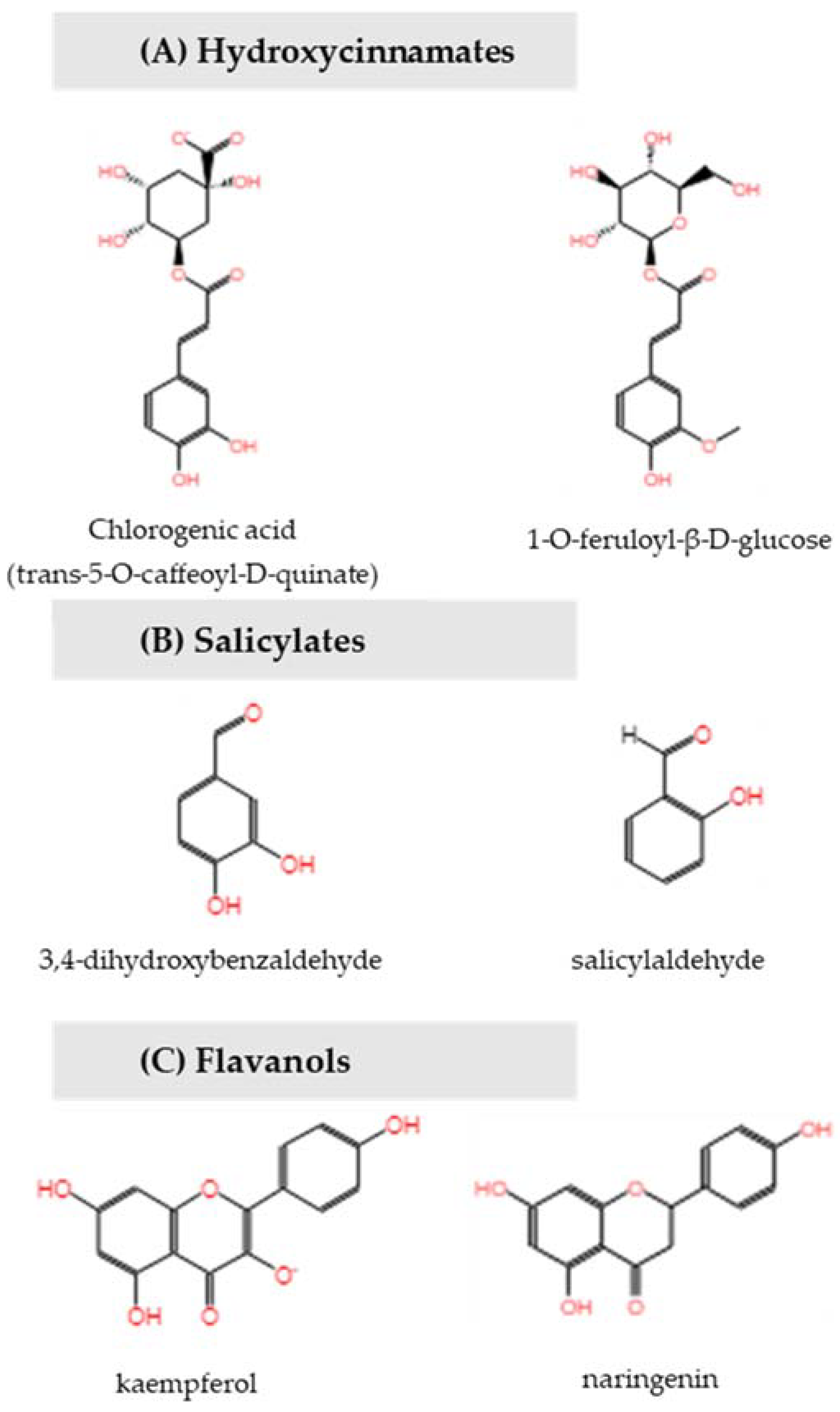 Ijms 23 06019 g005 Ijms 23 06019 g005