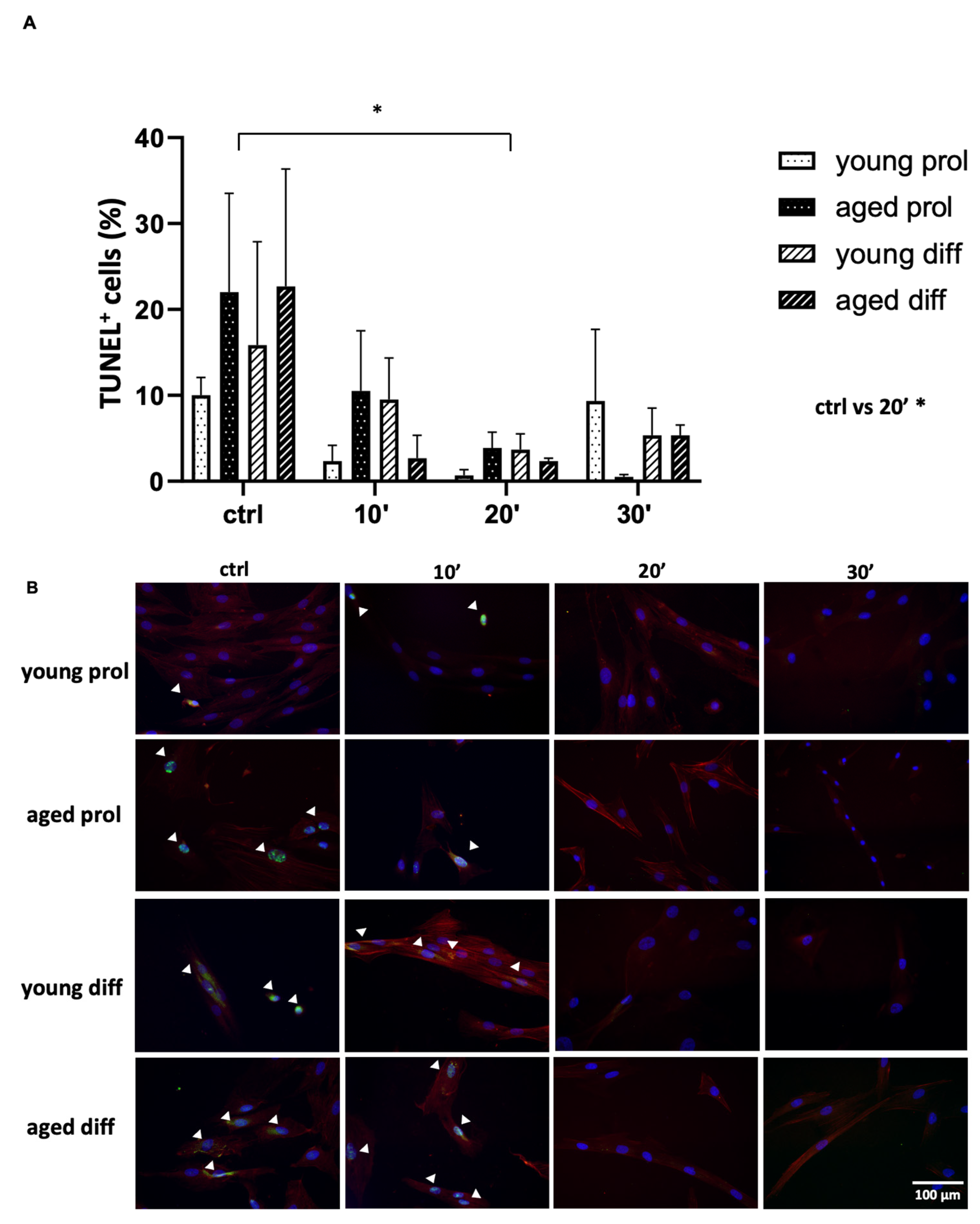 Ijms 23 06026 g001 Ijms 23 06026 g001