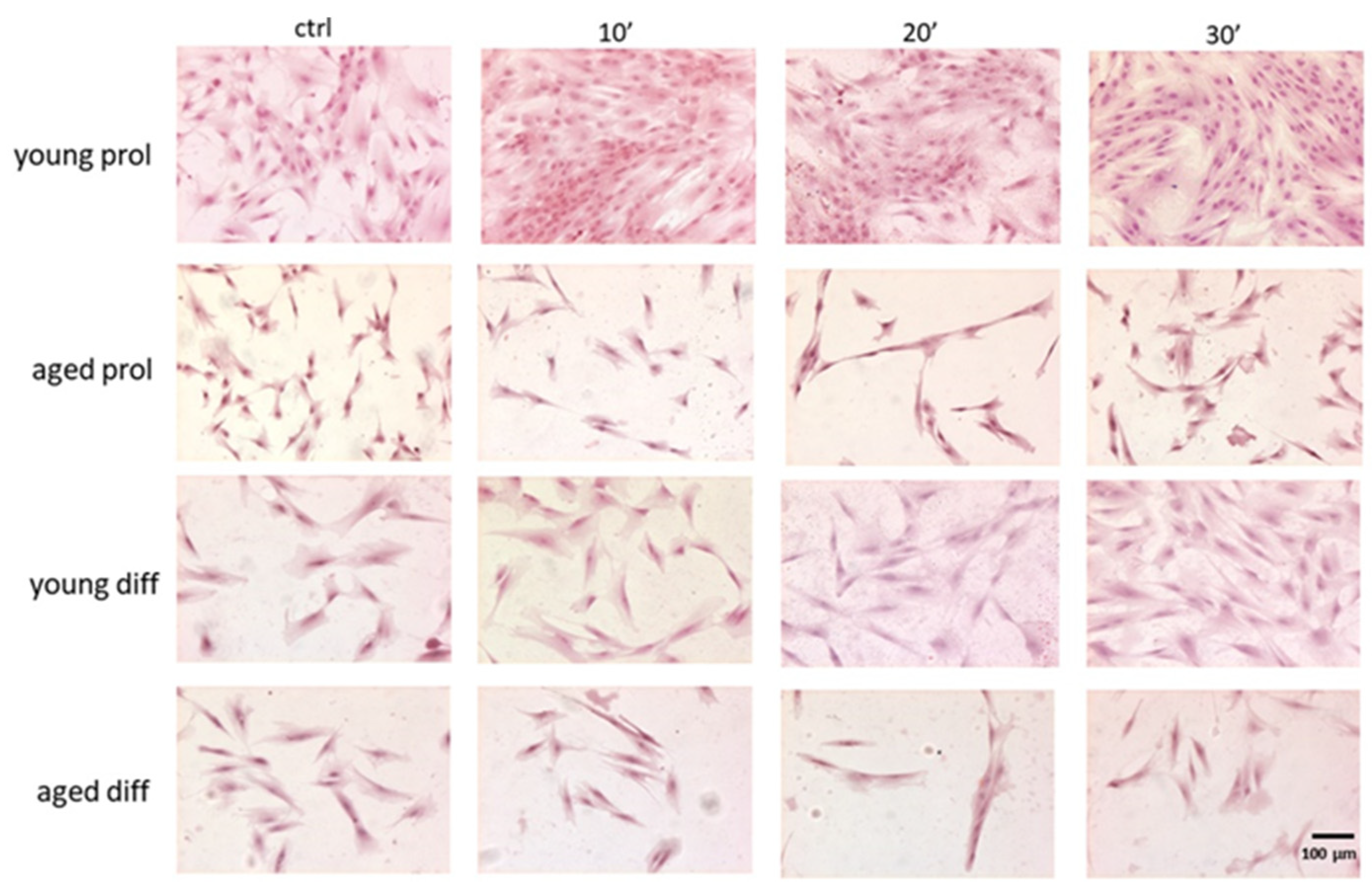 Ijms 23 06026 g002 Ijms 23 06026 g002