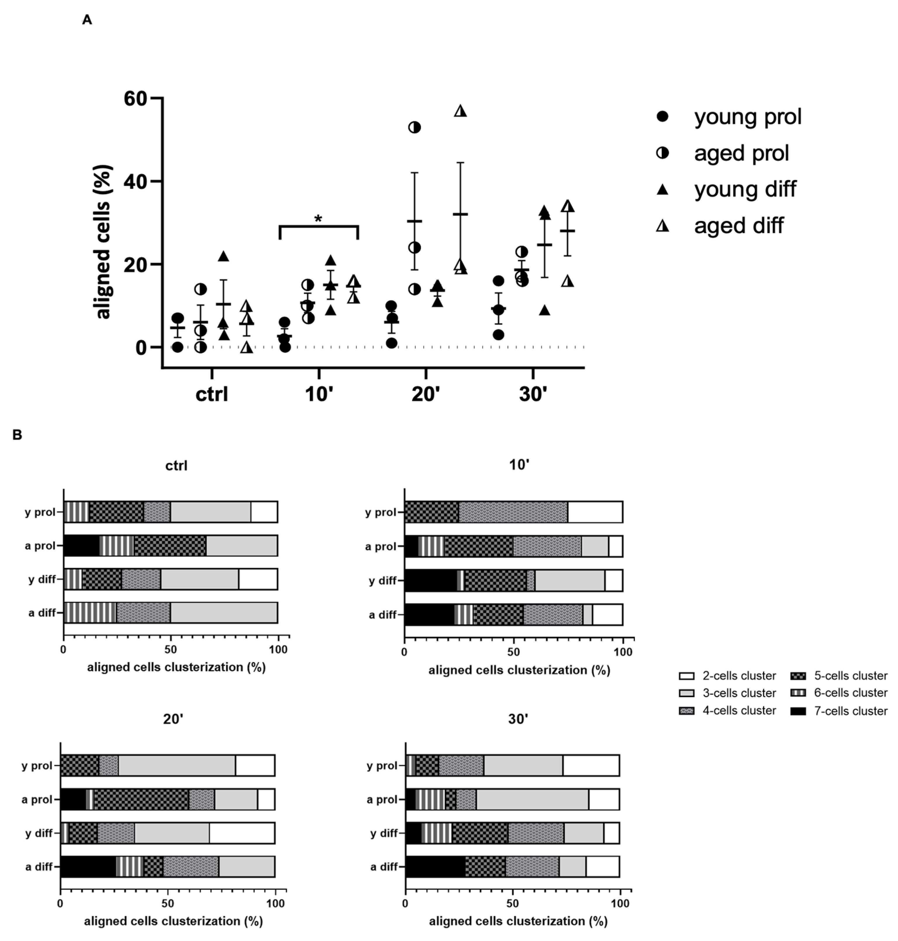 Ijms 23 06026 g005 Ijms 23 06026 g005