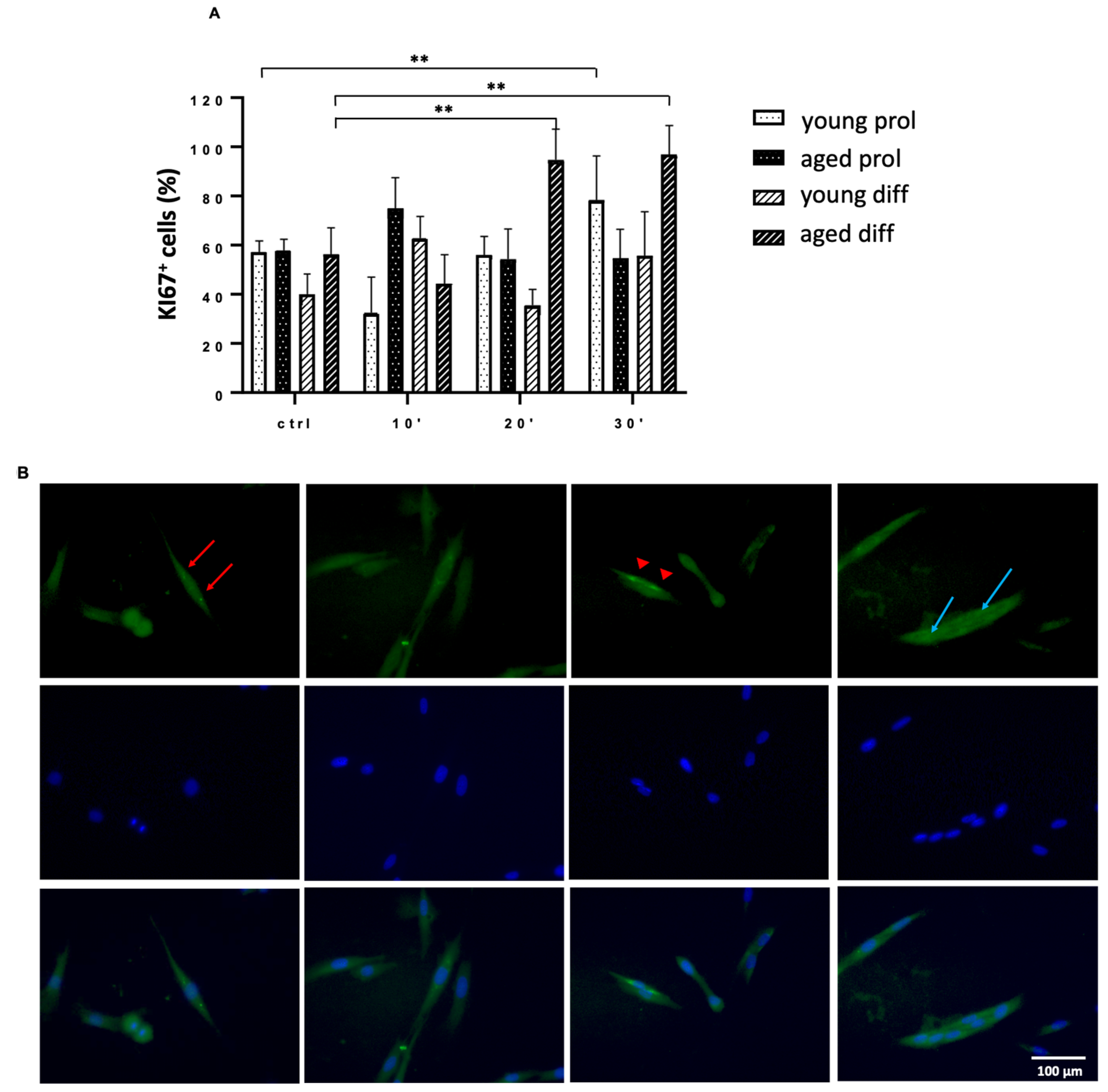 Ijms 23 06026 g009 Ijms 23 06026 g009