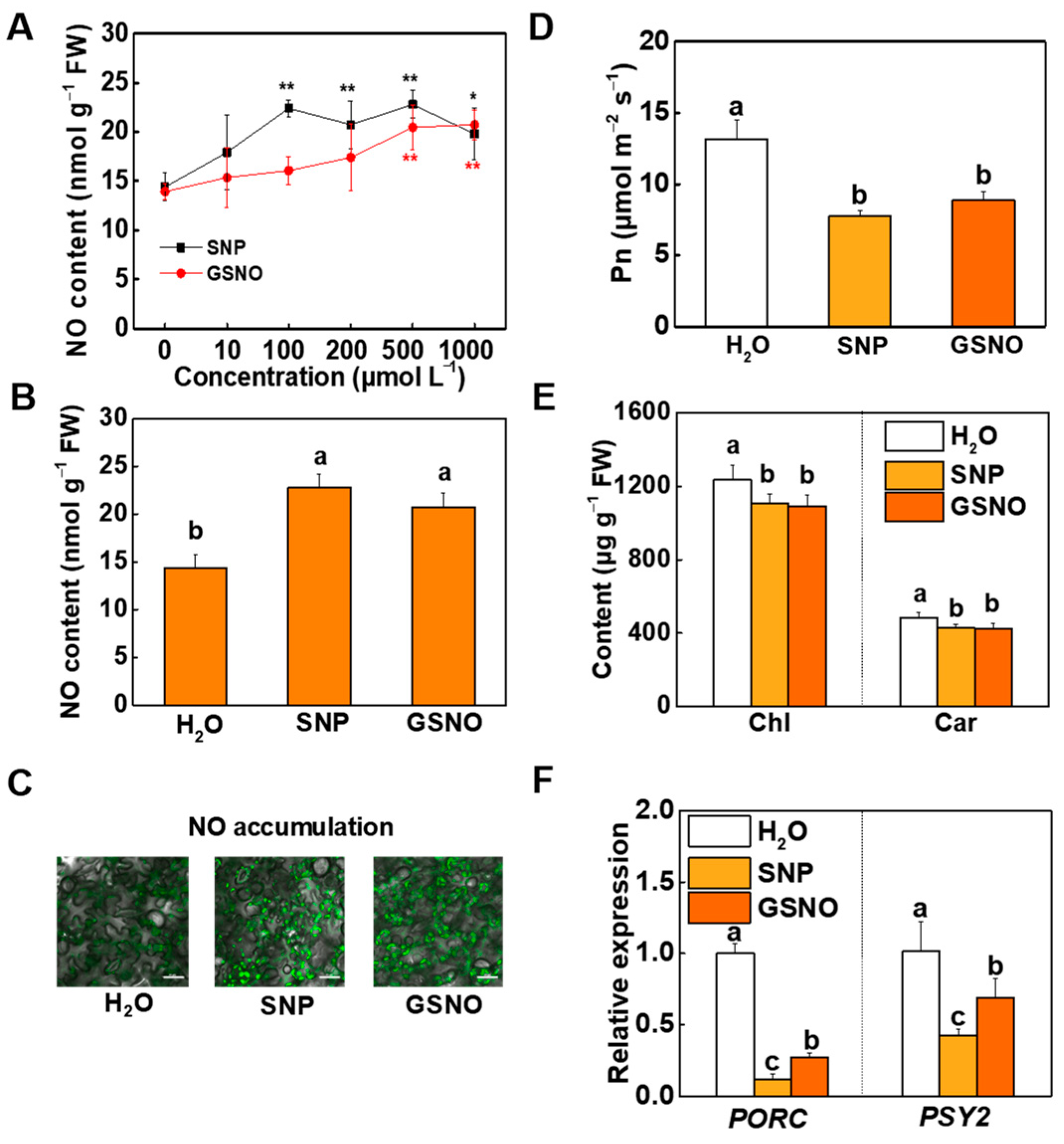 Ijms 23 06027 g002 Ijms 23 06027 g002