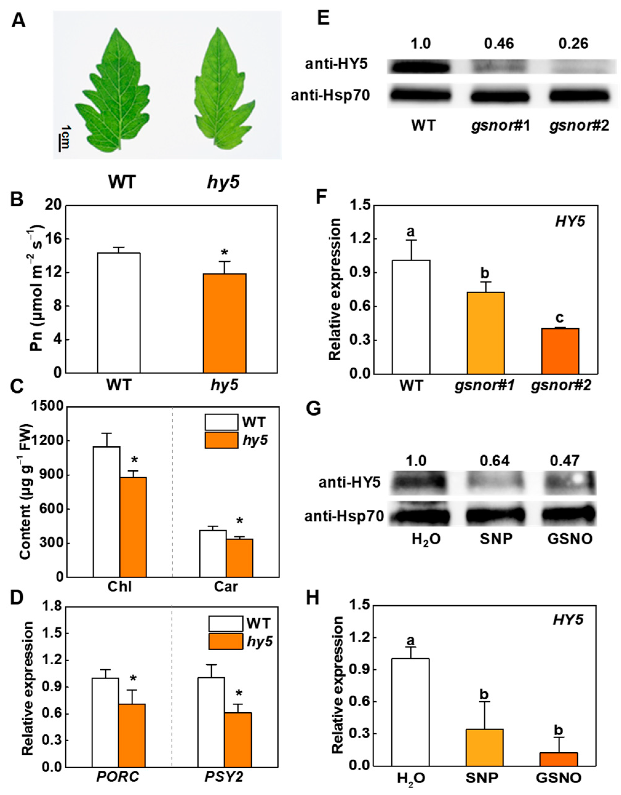 Ijms 23 06027 g003 Ijms 23 06027 g003