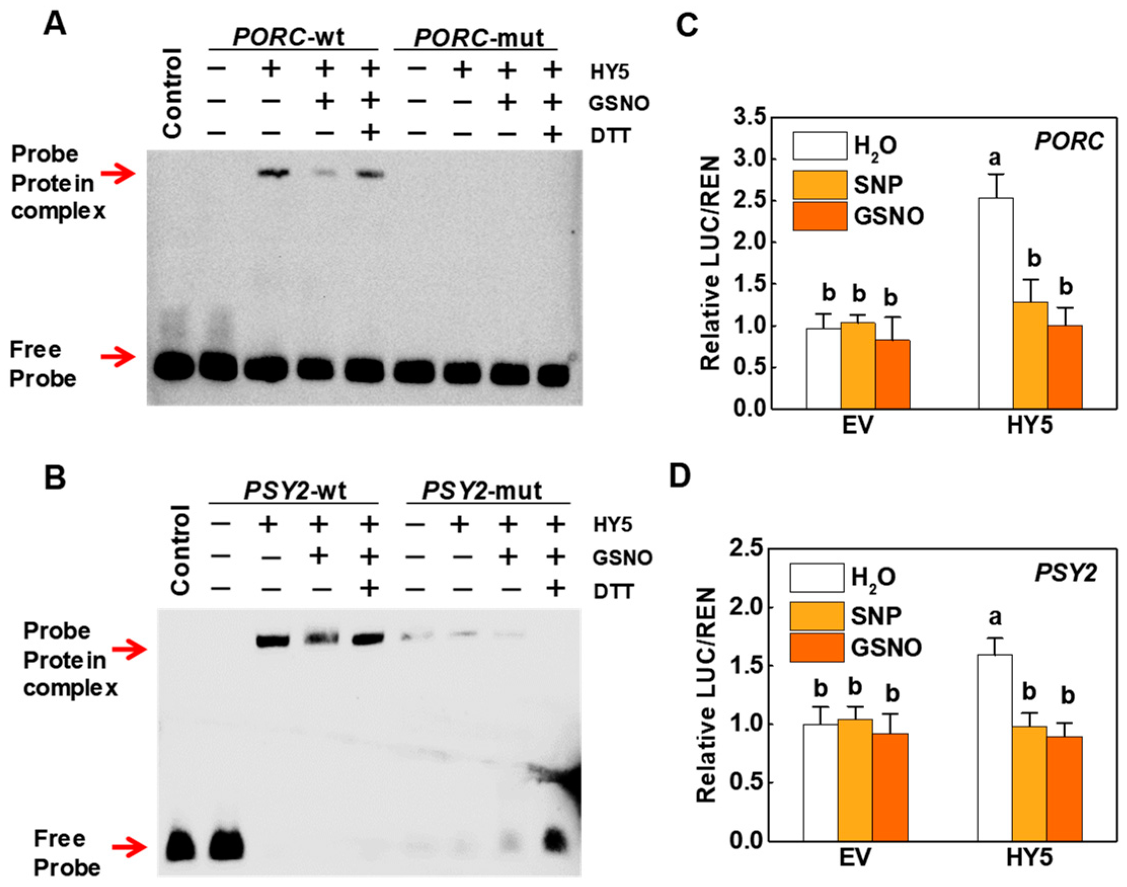Ijms 23 06027 g005 Ijms 23 06027 g005