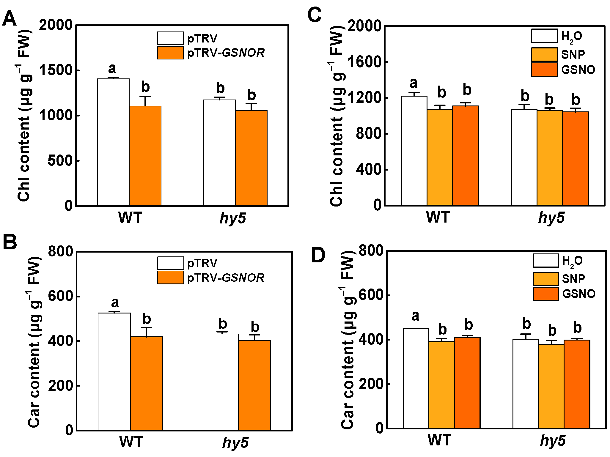Ijms 23 06027 g006 Ijms 23 06027 g006