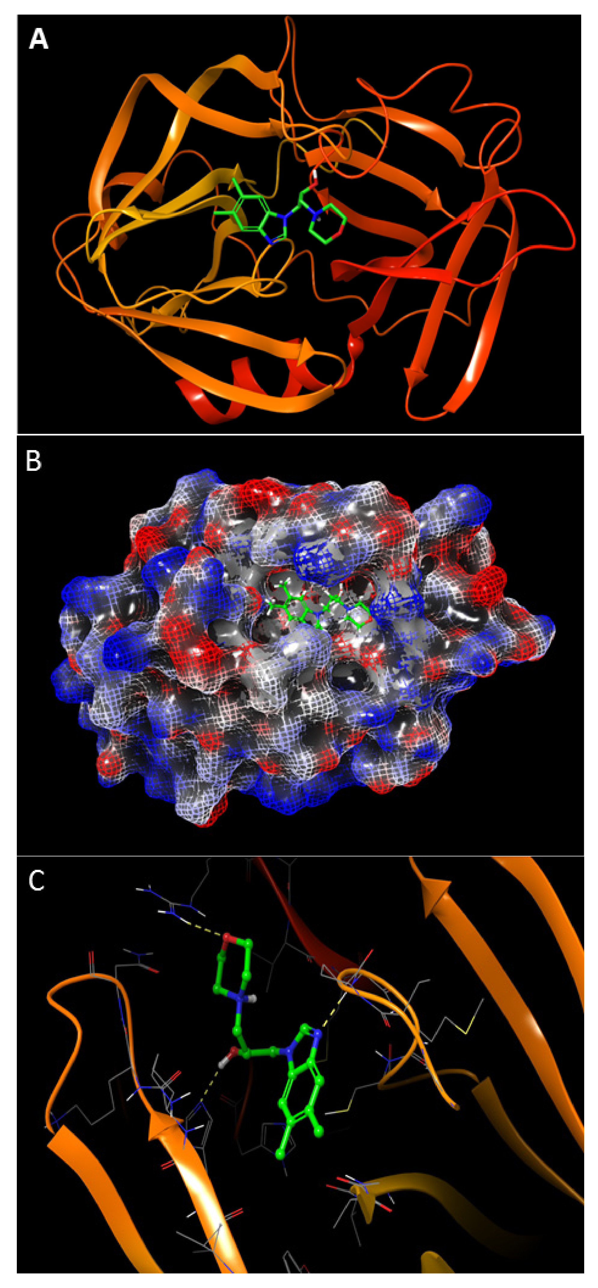 Ijms 23 06044 g001a Ijms 23 06044 g001a