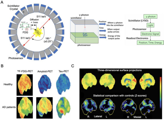 Ijms 23 06079 g003 550