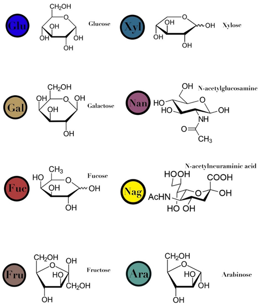Ijms 23 06097 i015 Ijms 23 06097 i015