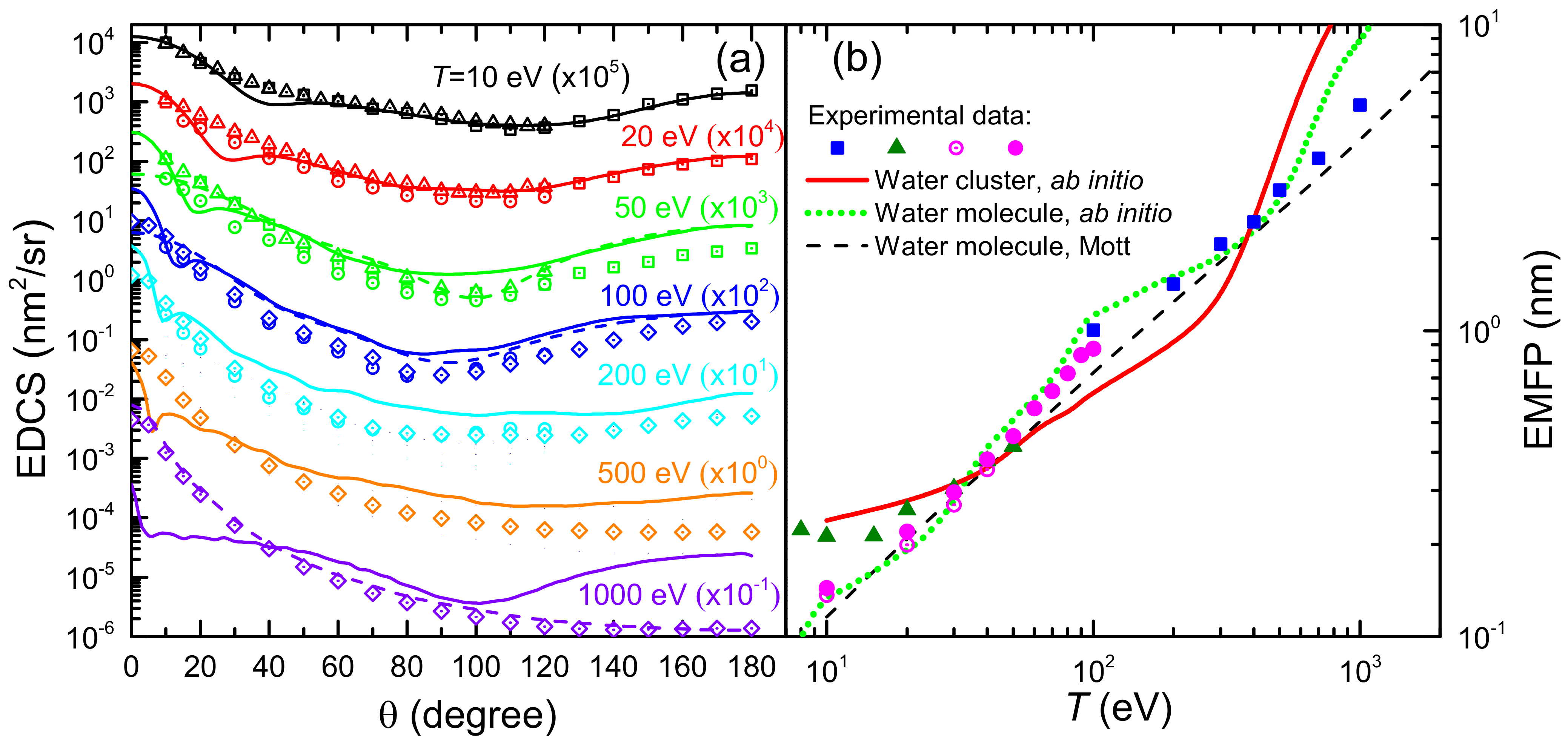 Ijms 23 06121 g006 Ijms 23 06121 g006