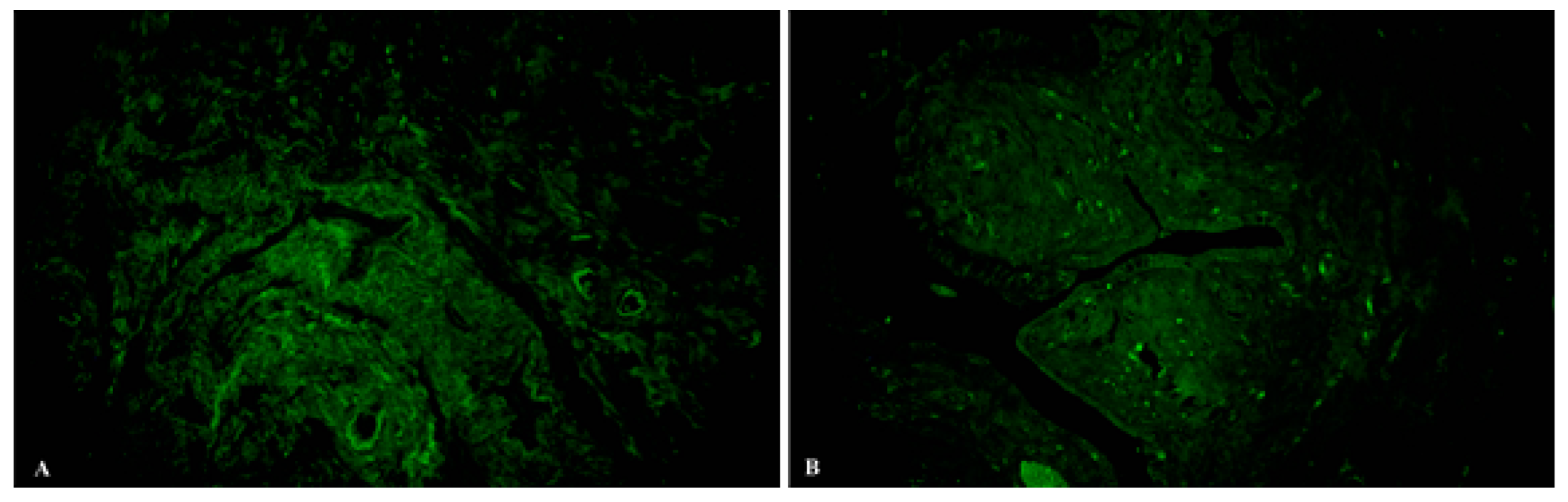 Ijms 23 06155 g003 Ijms 23 06155 g003