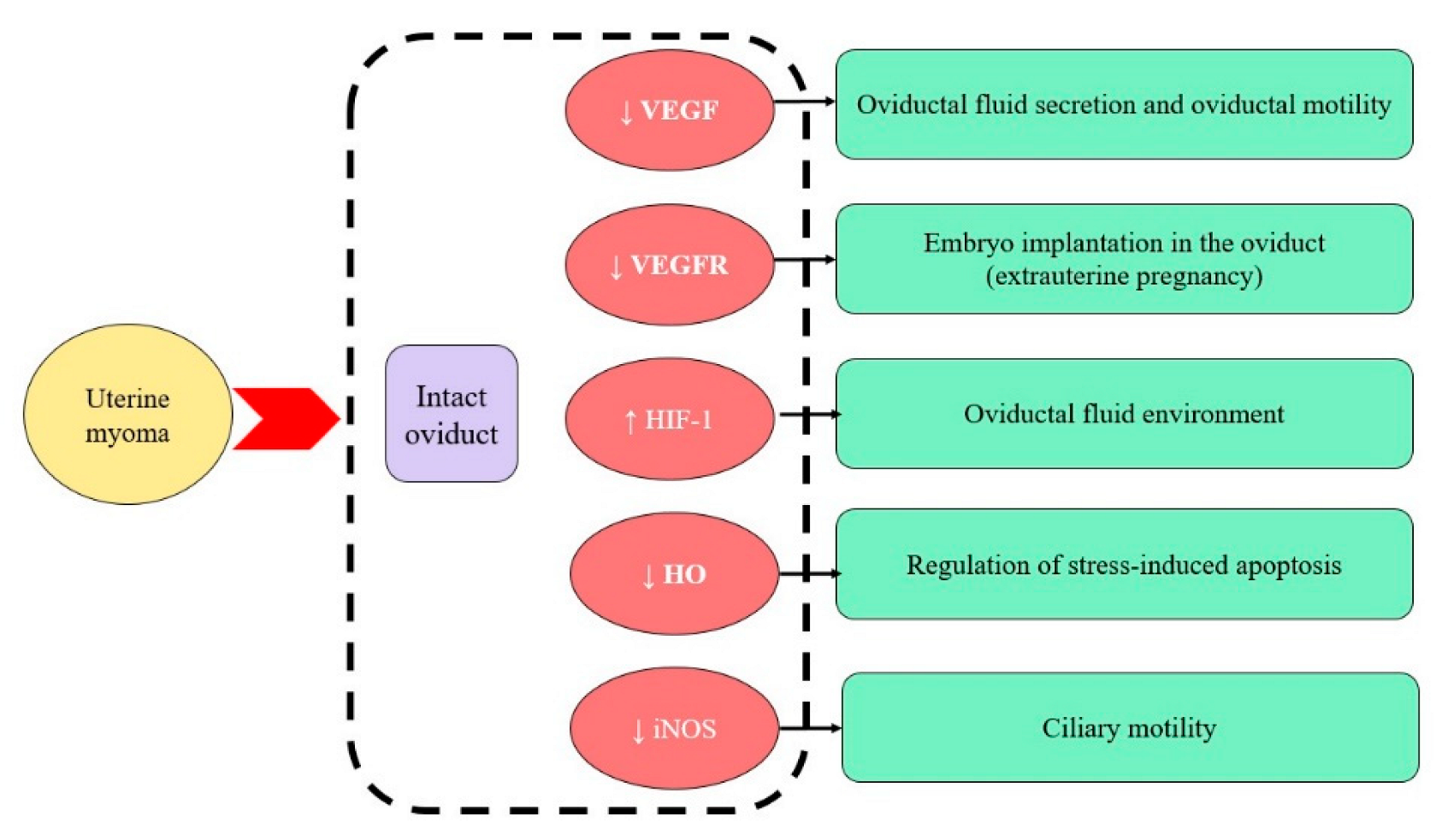 Ijms 23 06155 g008 Ijms 23 06155 g008