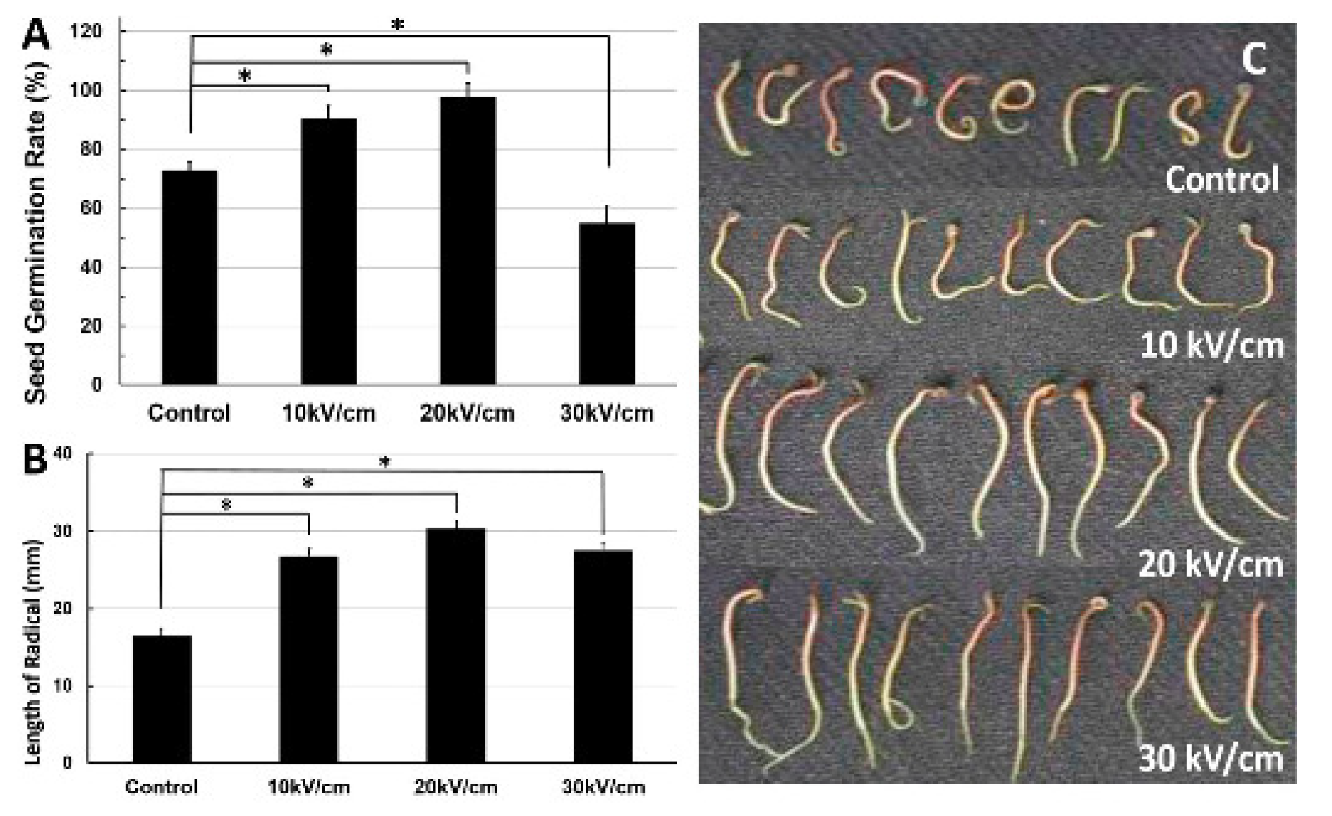 Ijms 23 06158 g007 Ijms 23 06158 g007