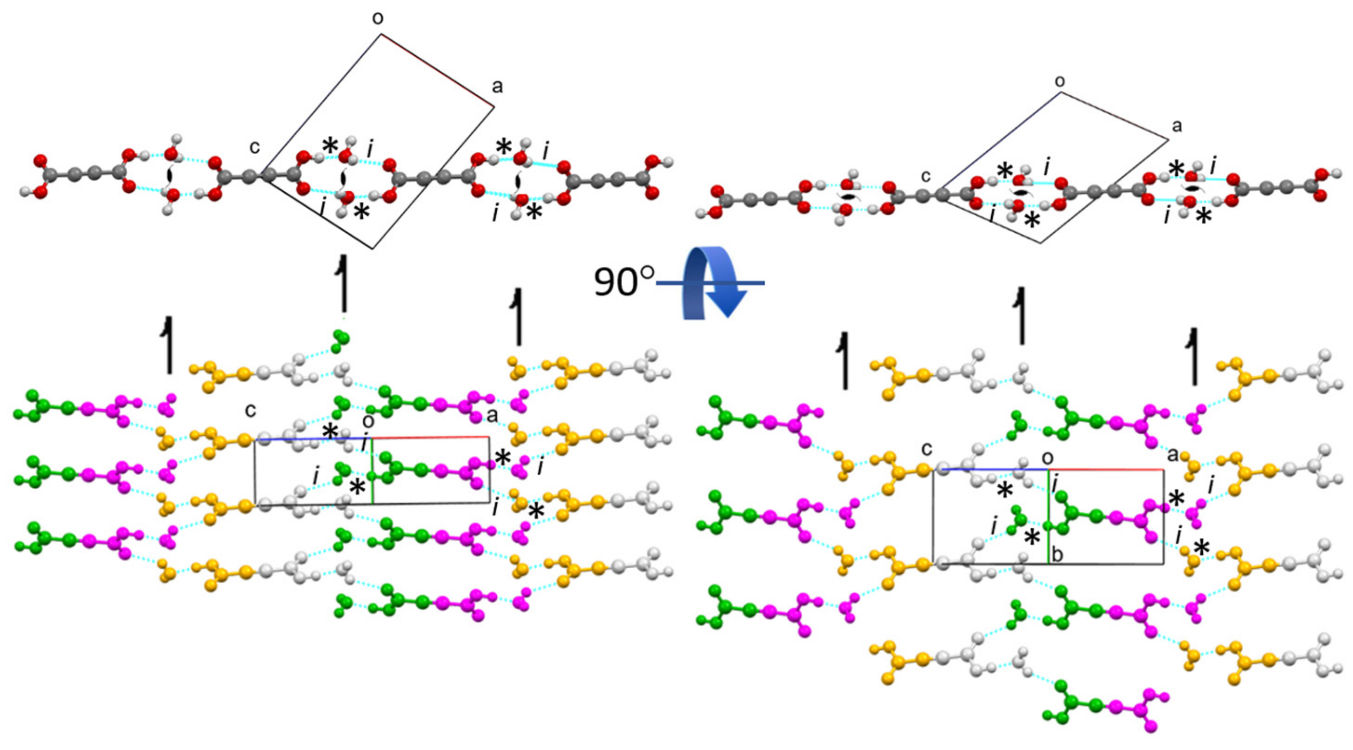 Ijms 23 06164 g003 Ijms 23 06164 g003