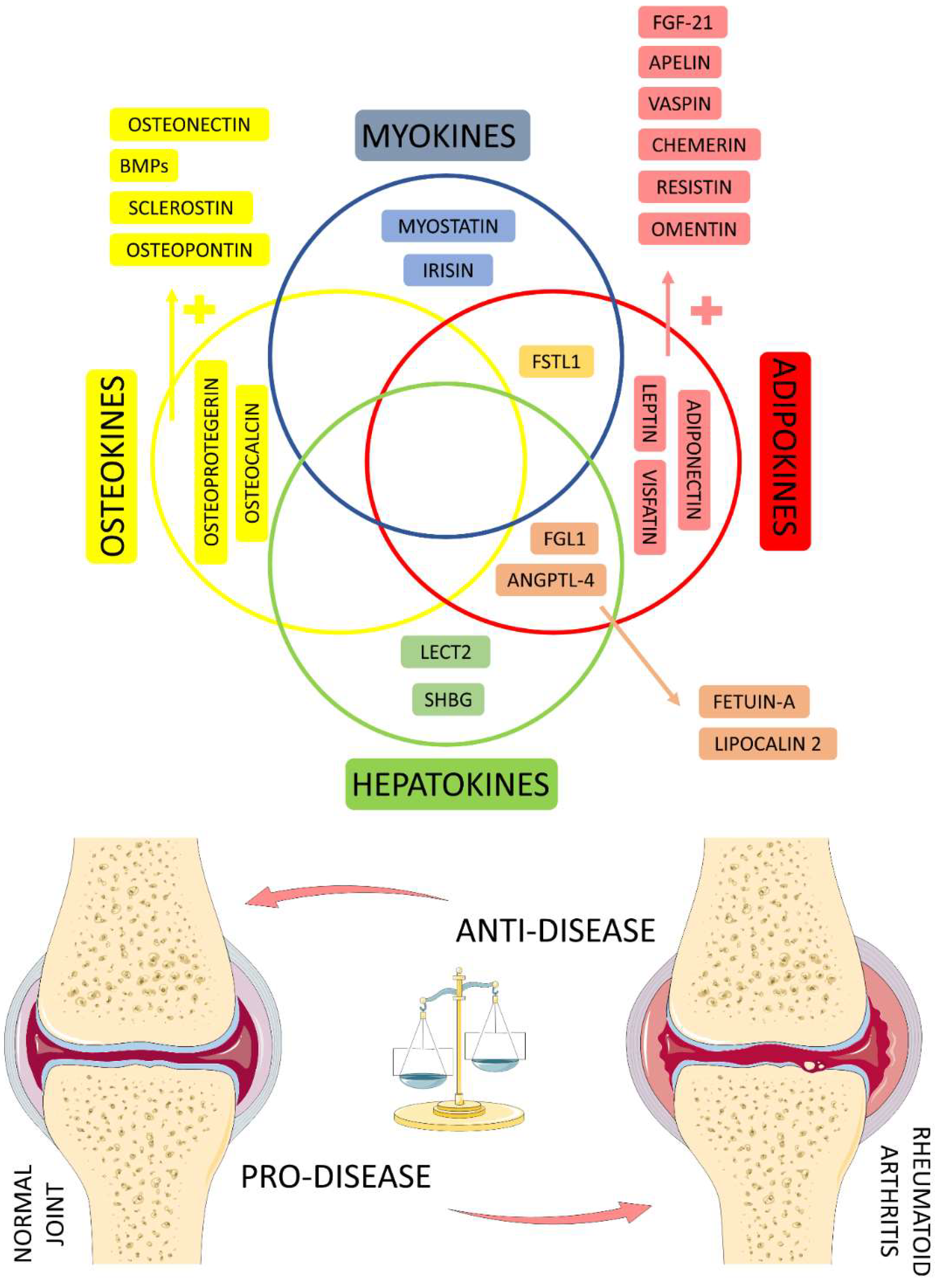 Ijms 23 06193 g002 Ijms 23 06193 g002