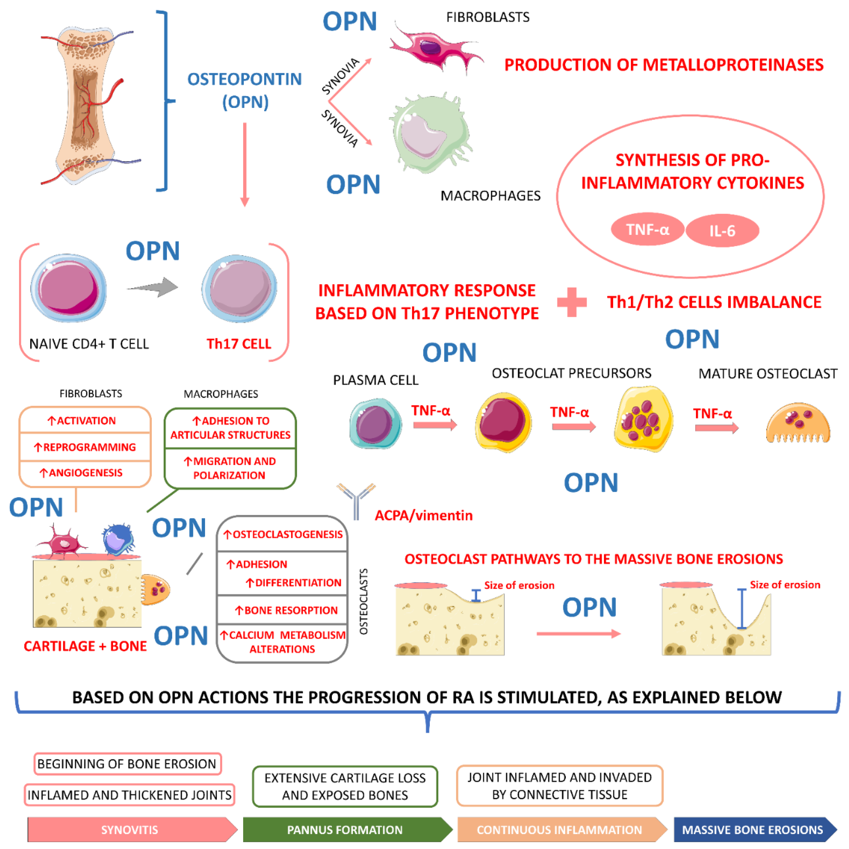 Ijms 23 06193 g003 Ijms 23 06193 g003