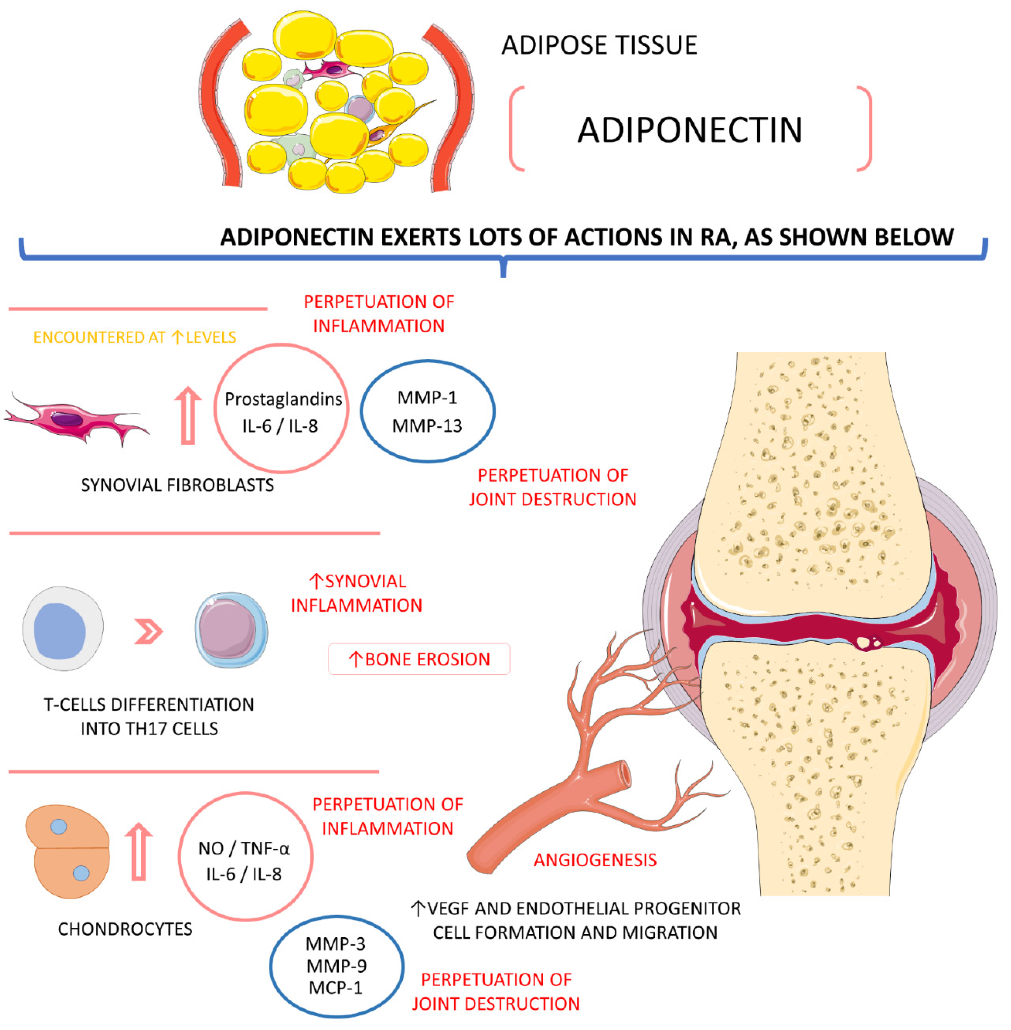 Ijms 23 06193 g004 Ijms 23 06193 g004