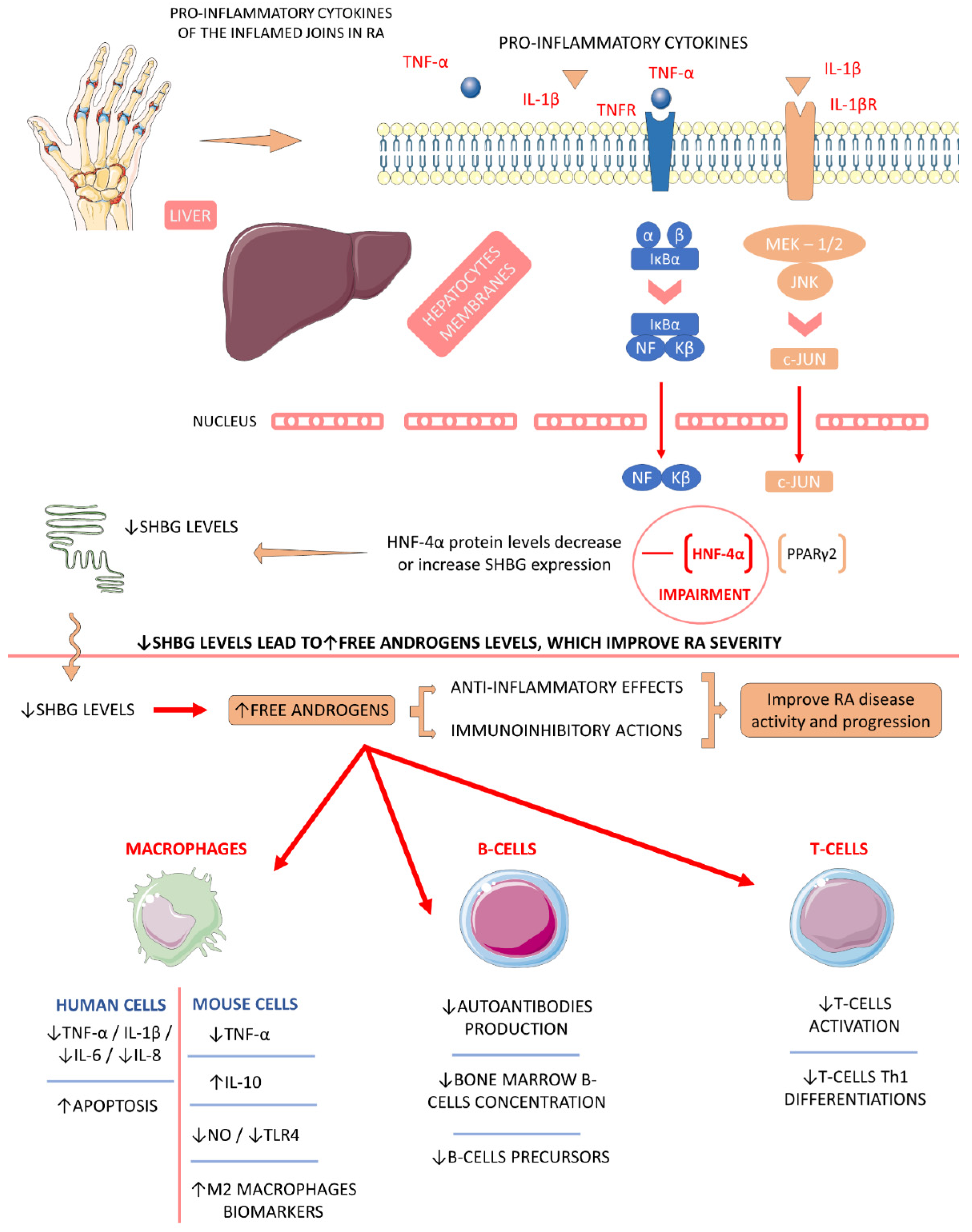 Ijms 23 06193 g005 Ijms 23 06193 g005