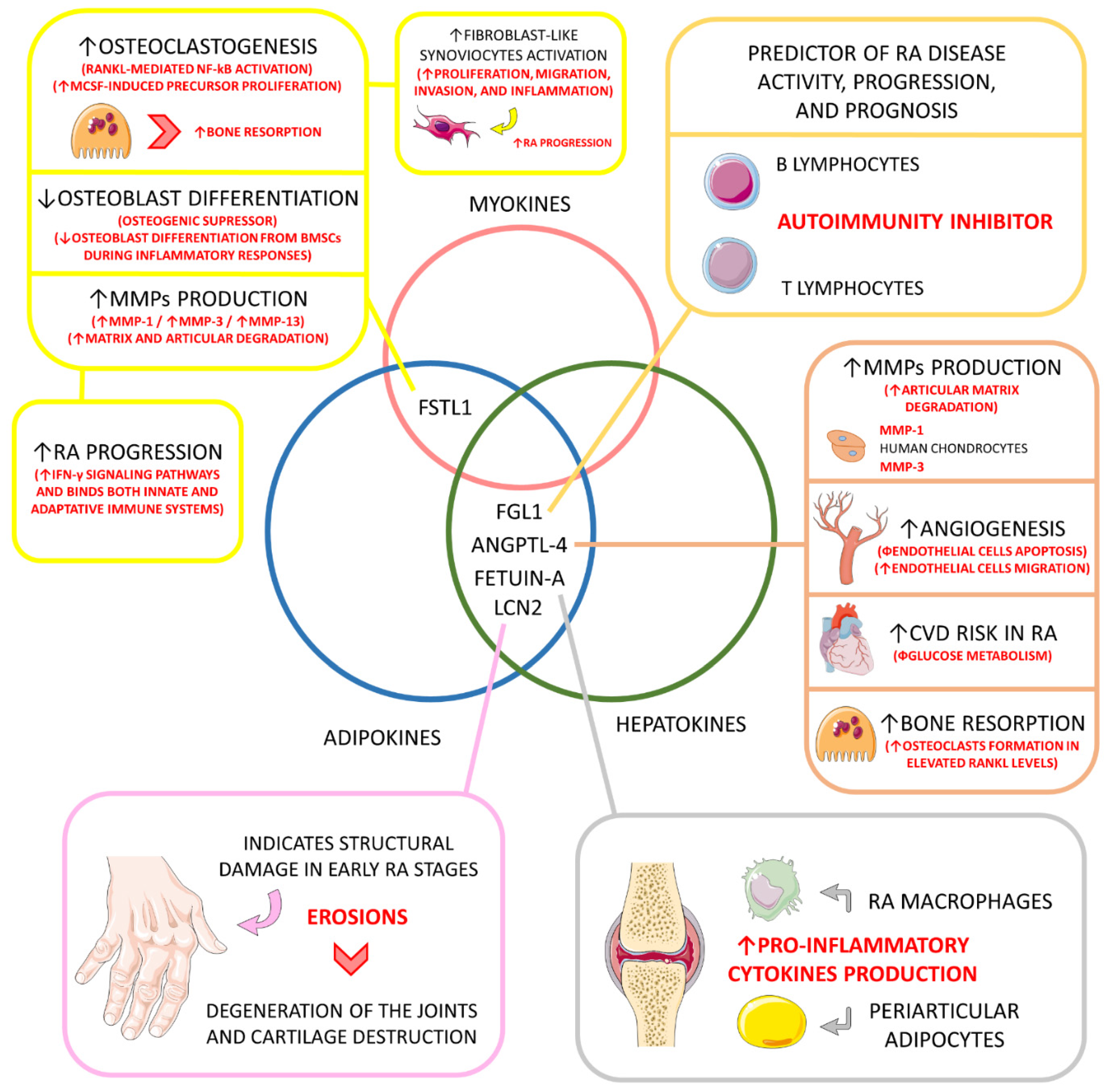 Ijms 23 06193 g006 Ijms 23 06193 g006