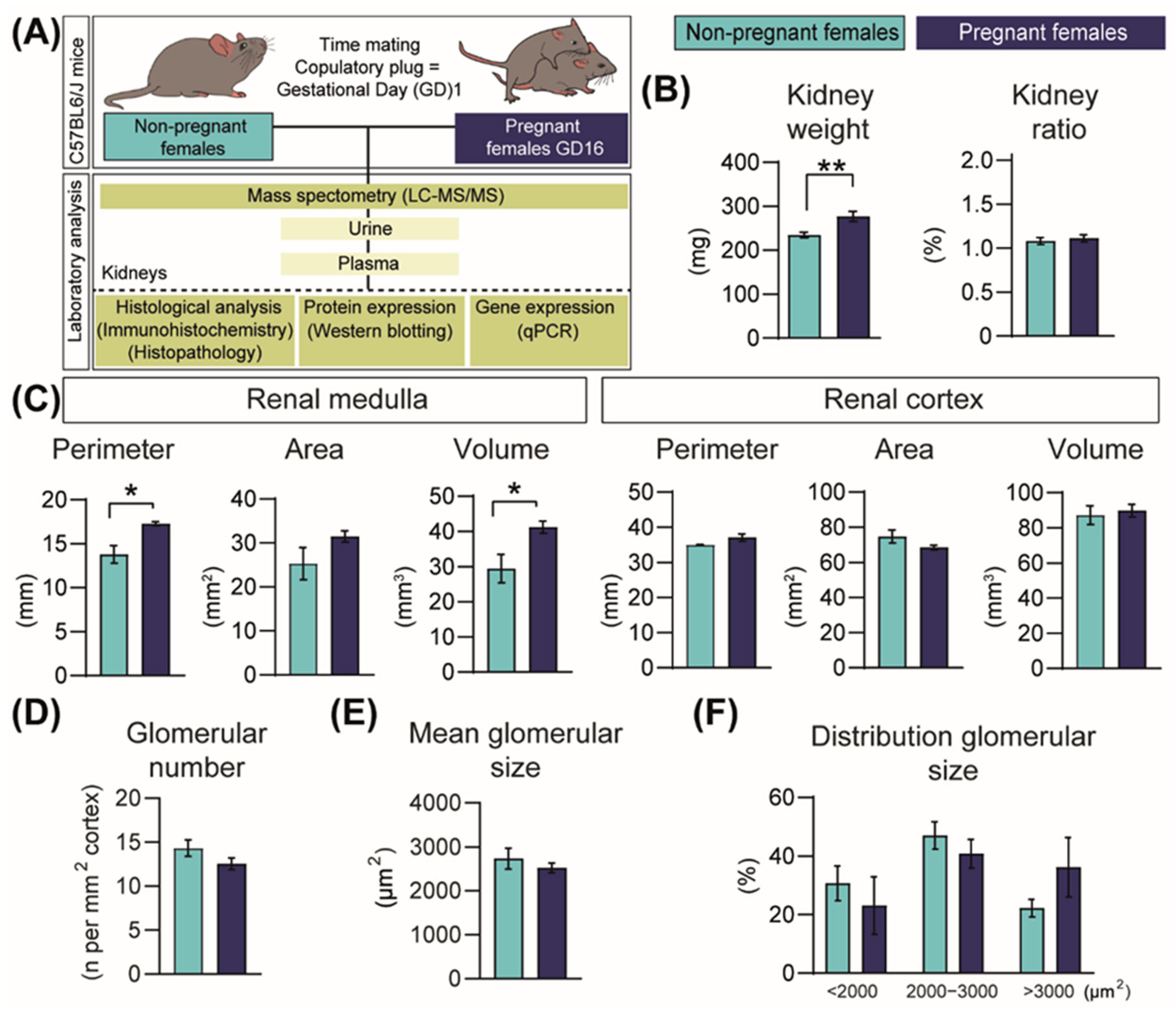 Ijms 23 06287 g001 Ijms 23 06287 g001