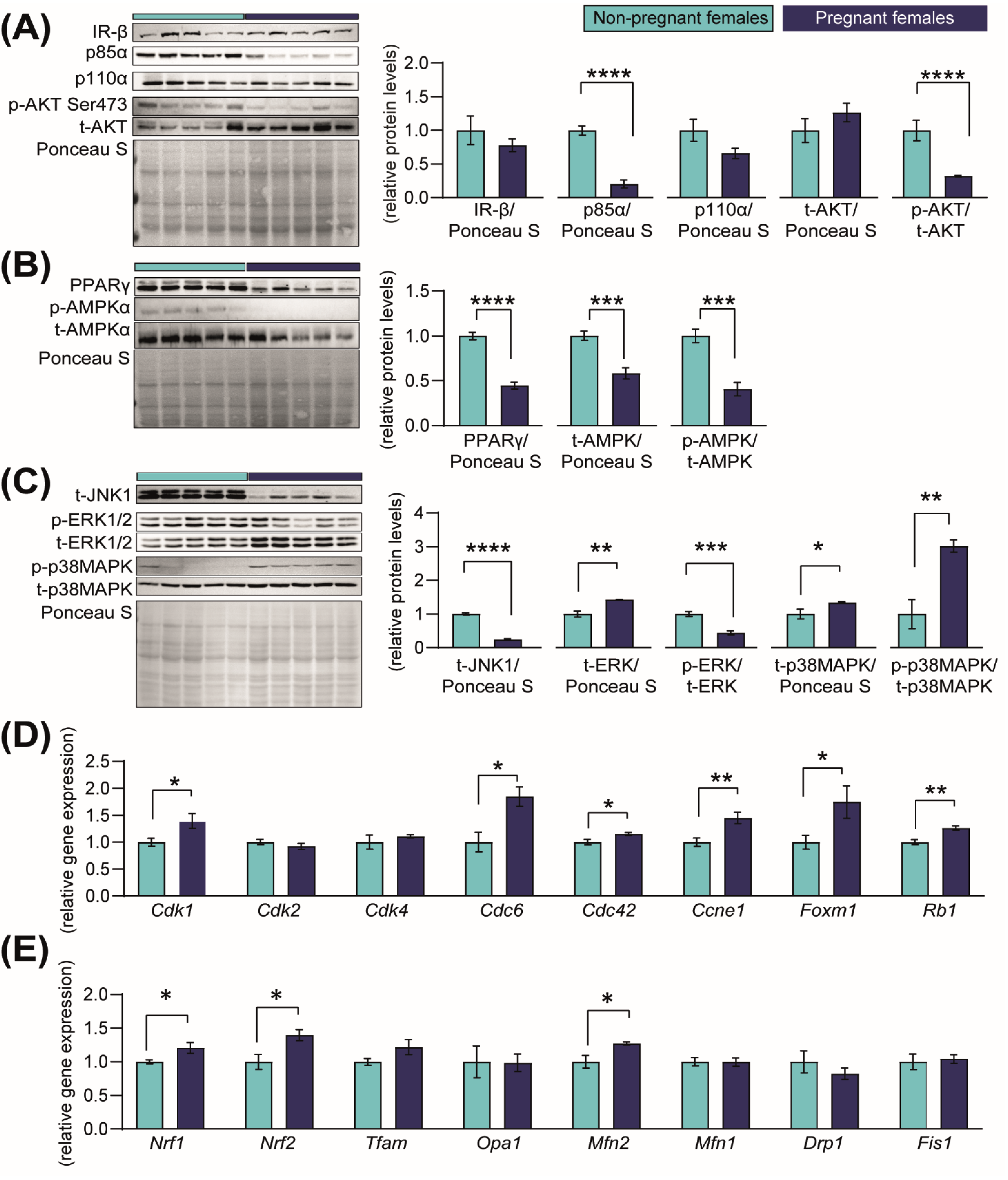 Ijms 23 06287 g004 Ijms 23 06287 g004