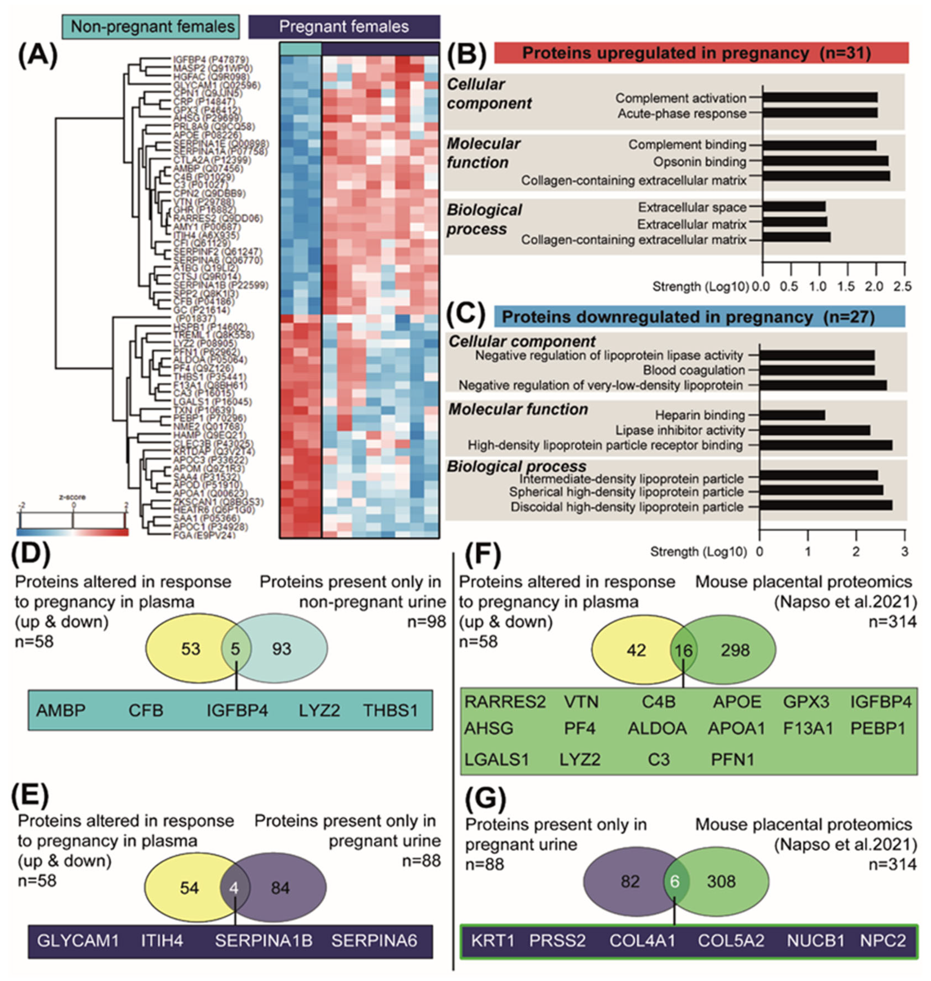 Ijms 23 06287 g006 Ijms 23 06287 g006