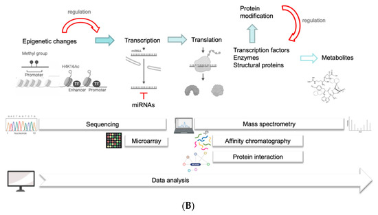 Ijms 23 06293 g004b 550