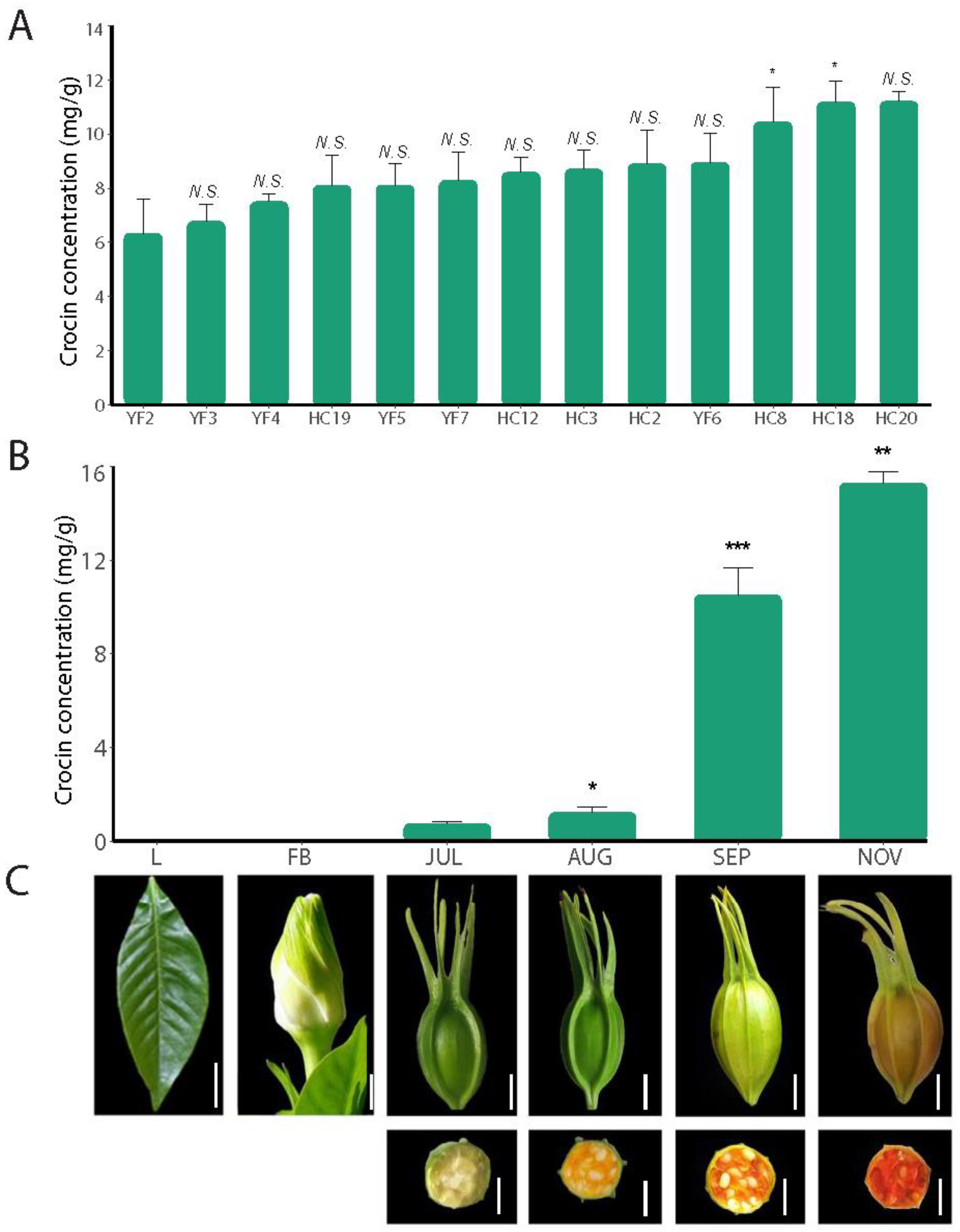 Ijms 23 06321 g001 Ijms 23 06321 g001