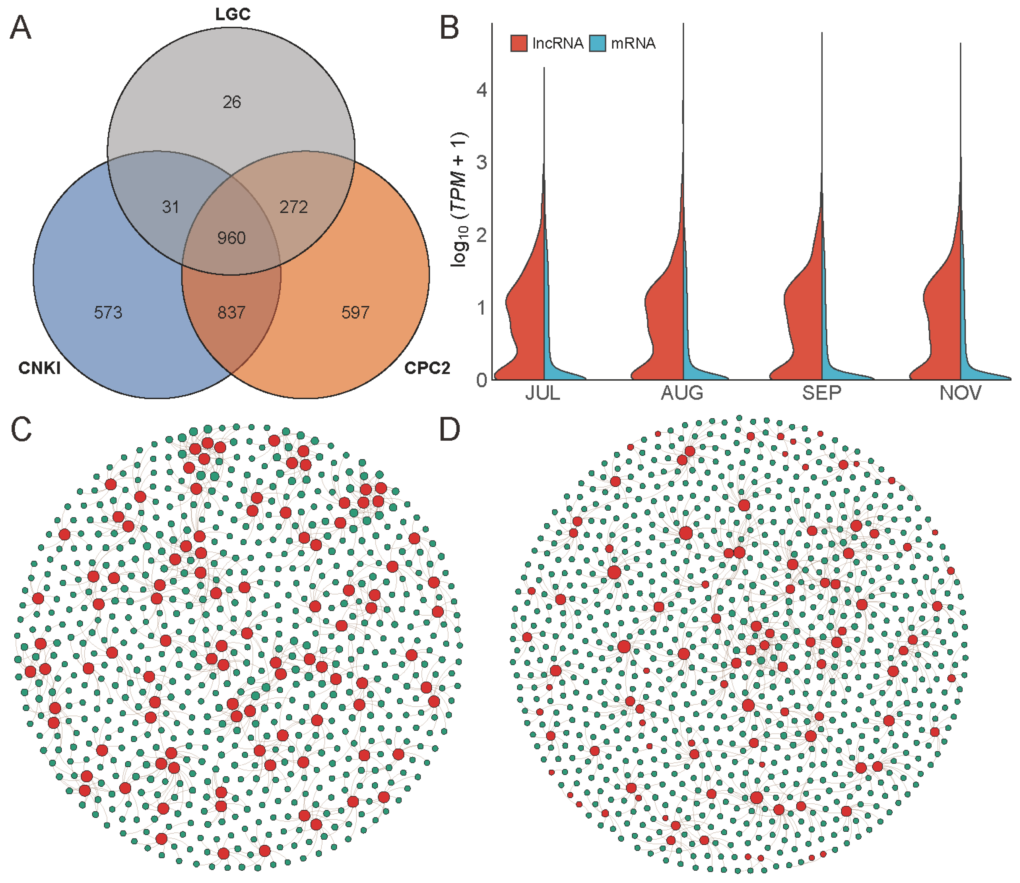Ijms 23 06321 g003 Ijms 23 06321 g003