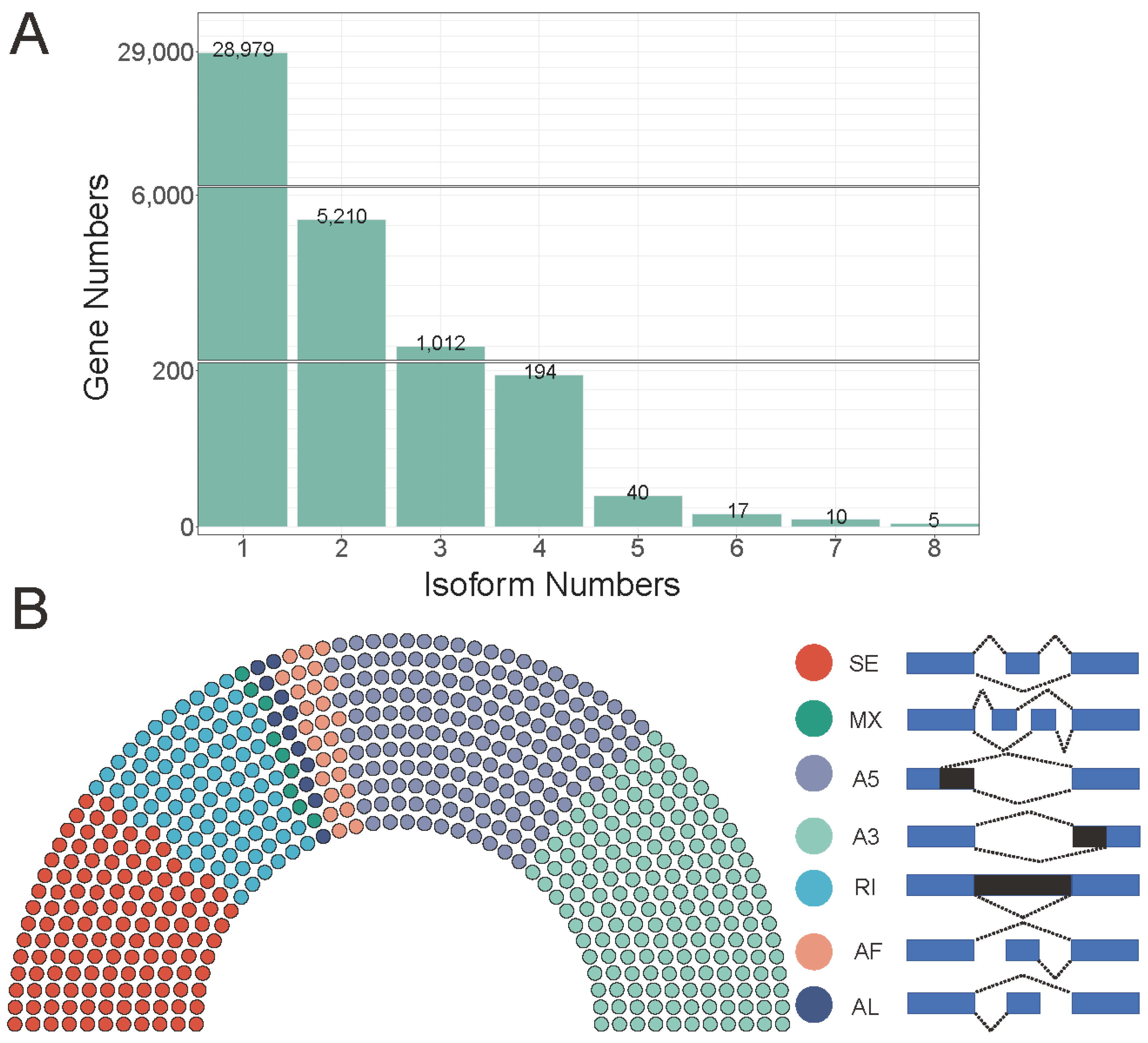 Ijms 23 06321 g004 Ijms 23 06321 g004