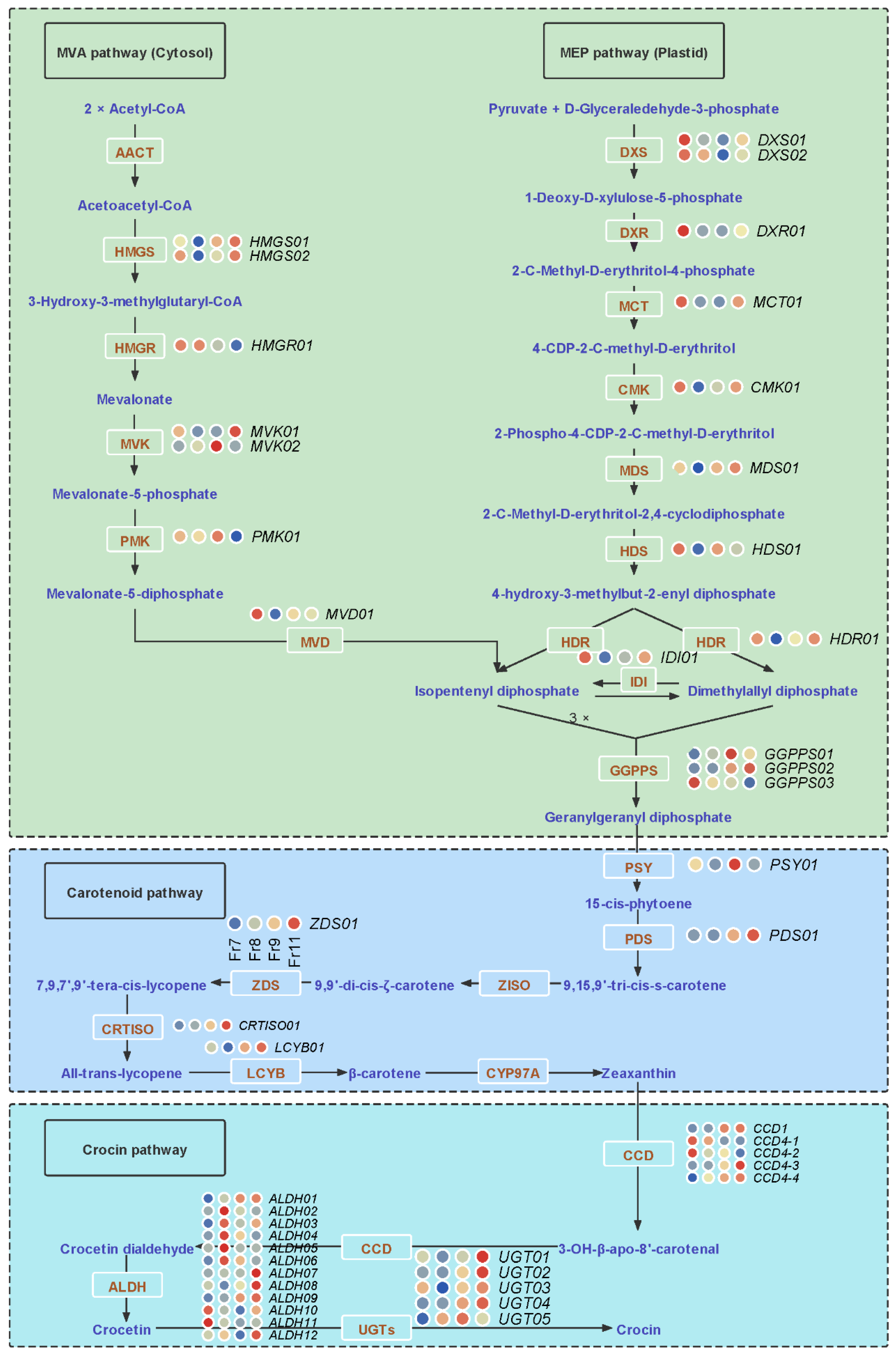 Ijms 23 06321 g006 Ijms 23 06321 g006