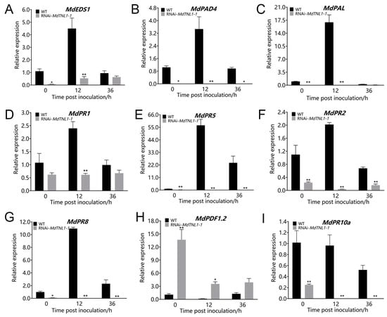 Ijms 23 06323 g007 550