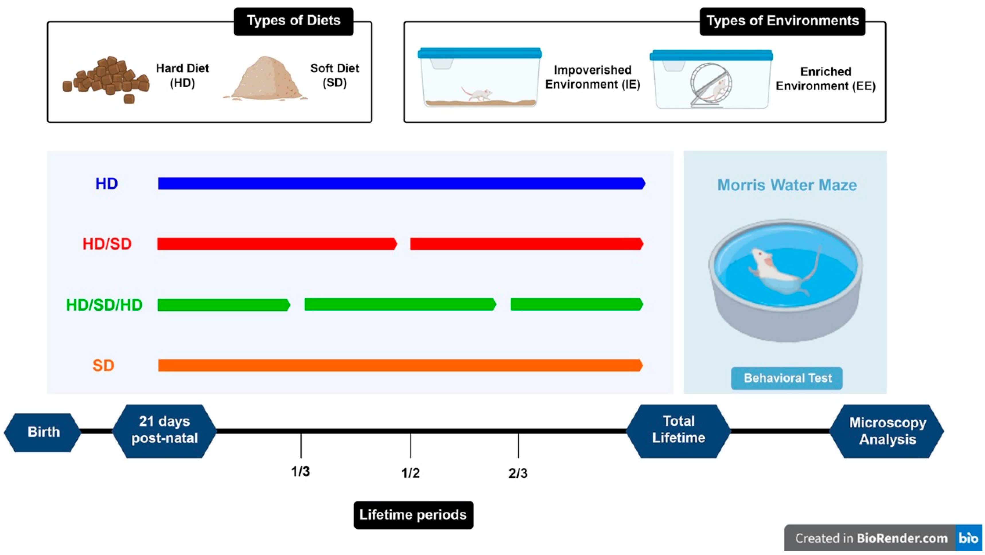 Ijms 23 06342 g001 Ijms 23 06342 g001