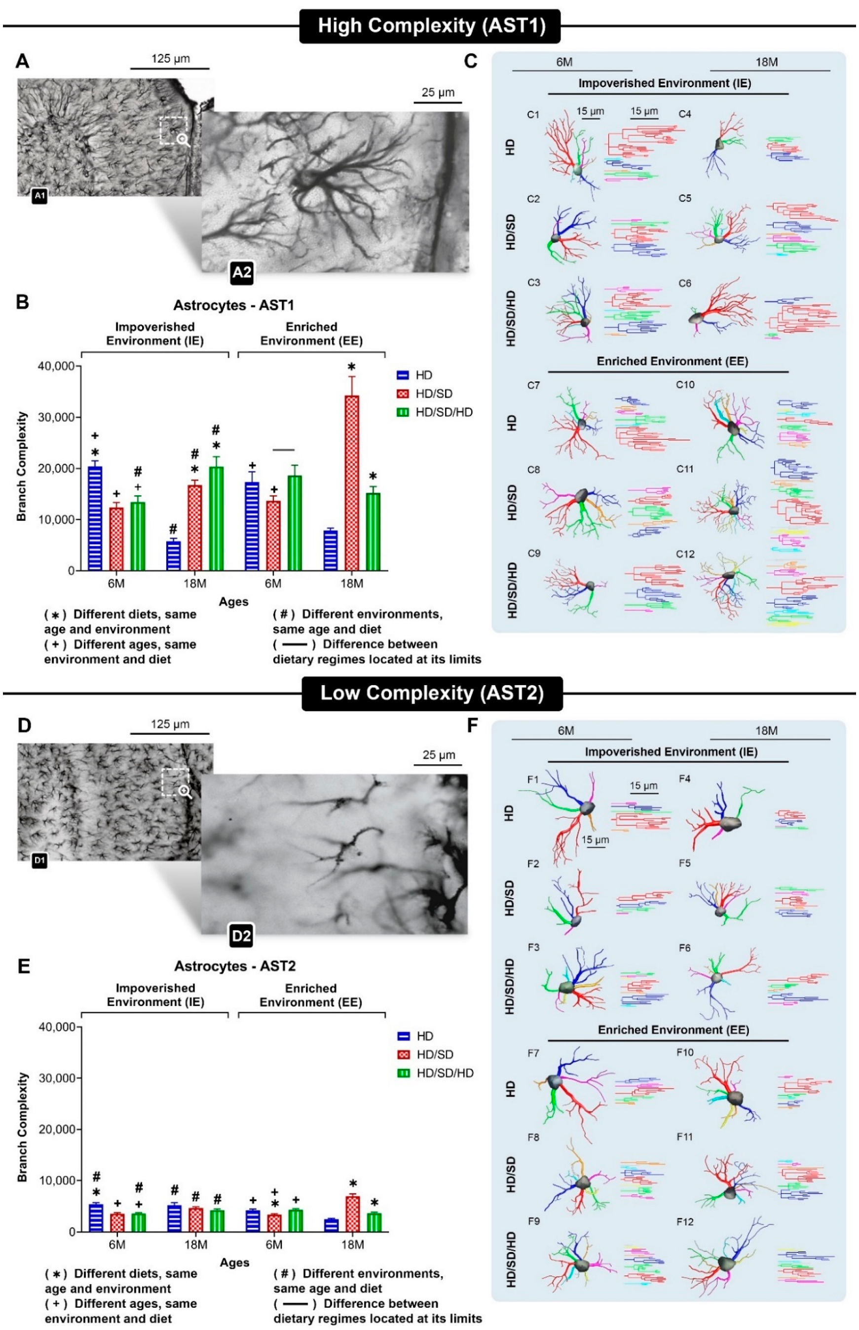 Ijms 23 06342 g003 Ijms 23 06342 g003