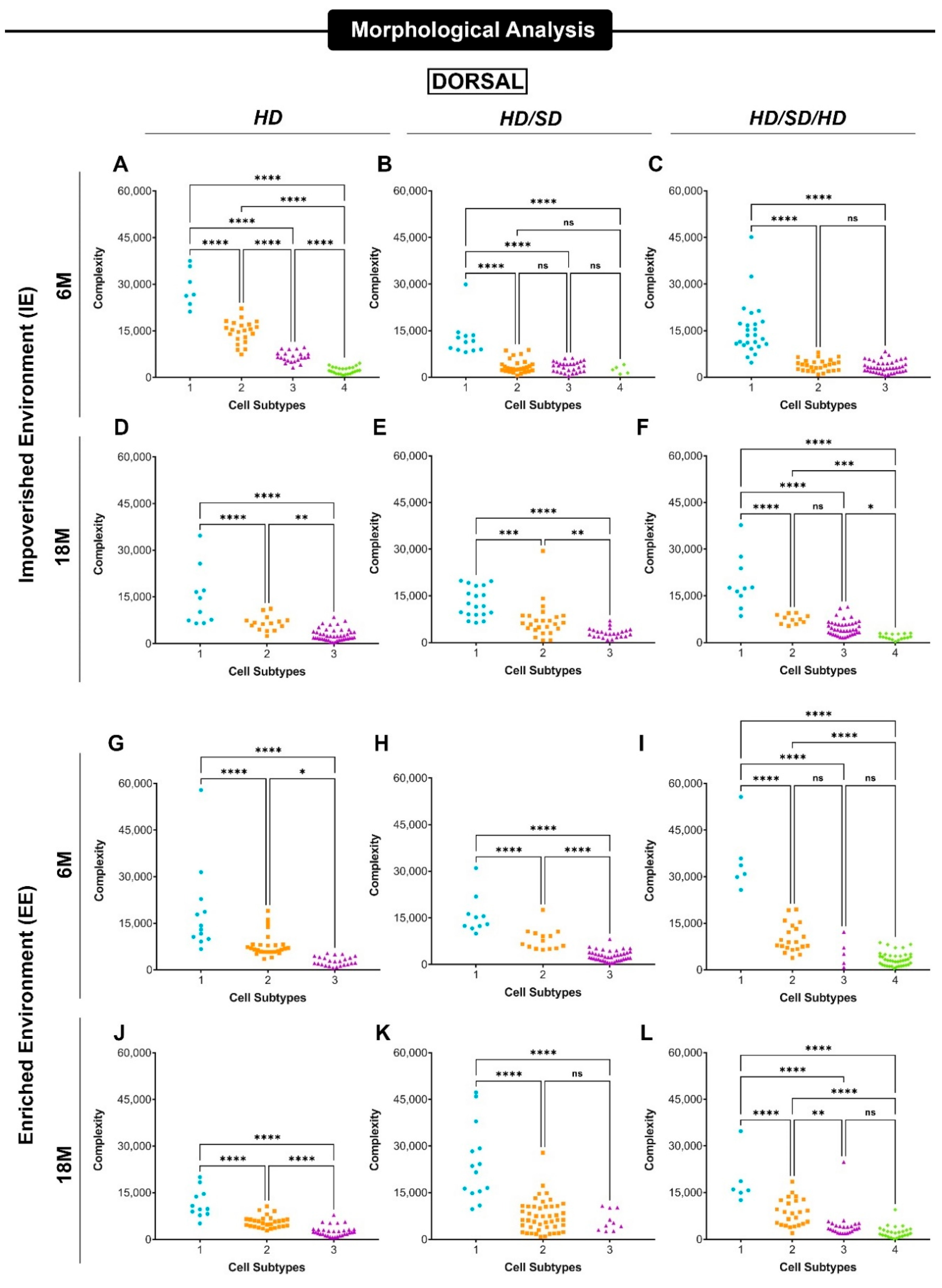 Ijms 23 06342 g004 Ijms 23 06342 g004
