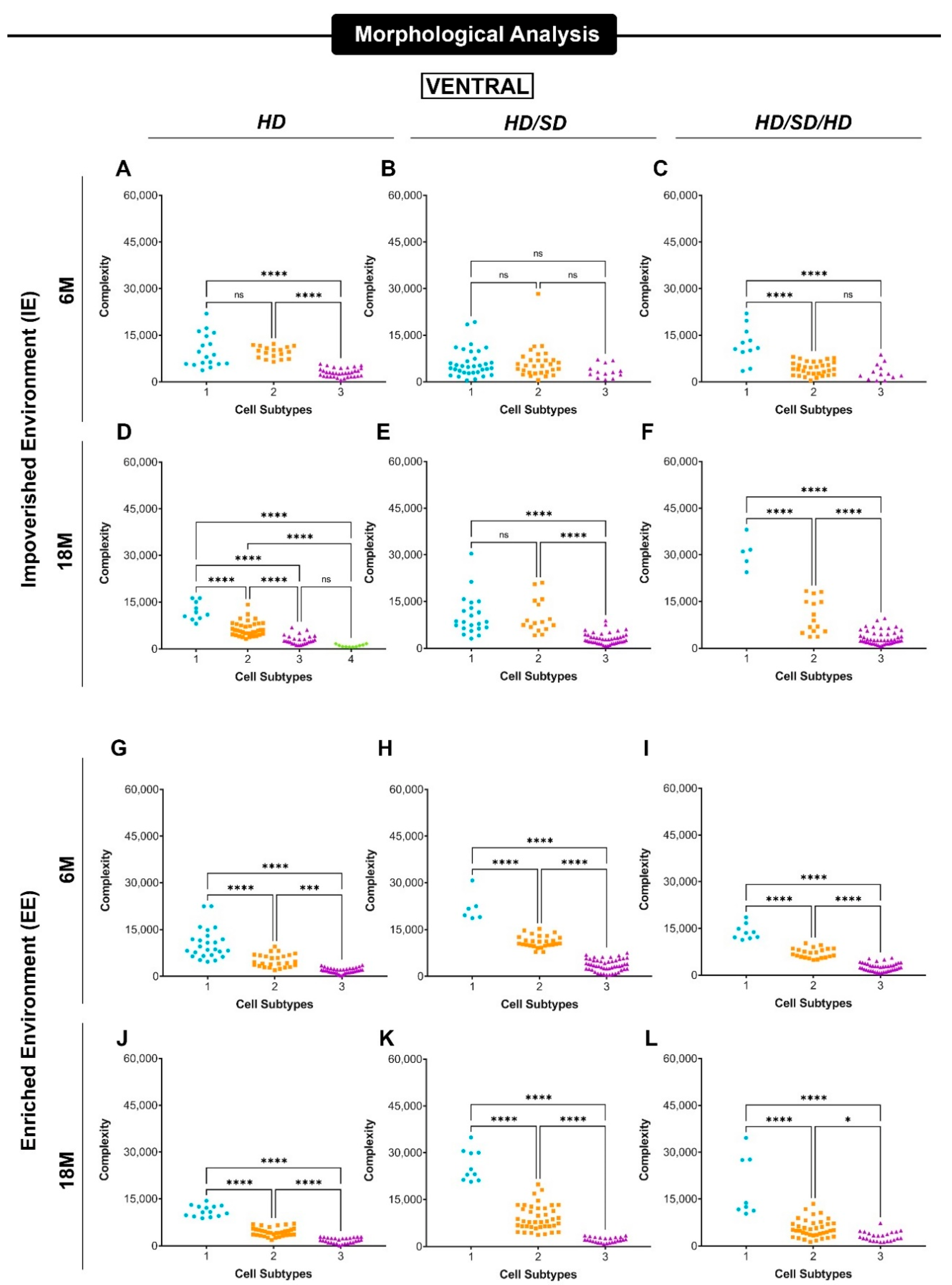 Ijms 23 06342 g005 Ijms 23 06342 g005