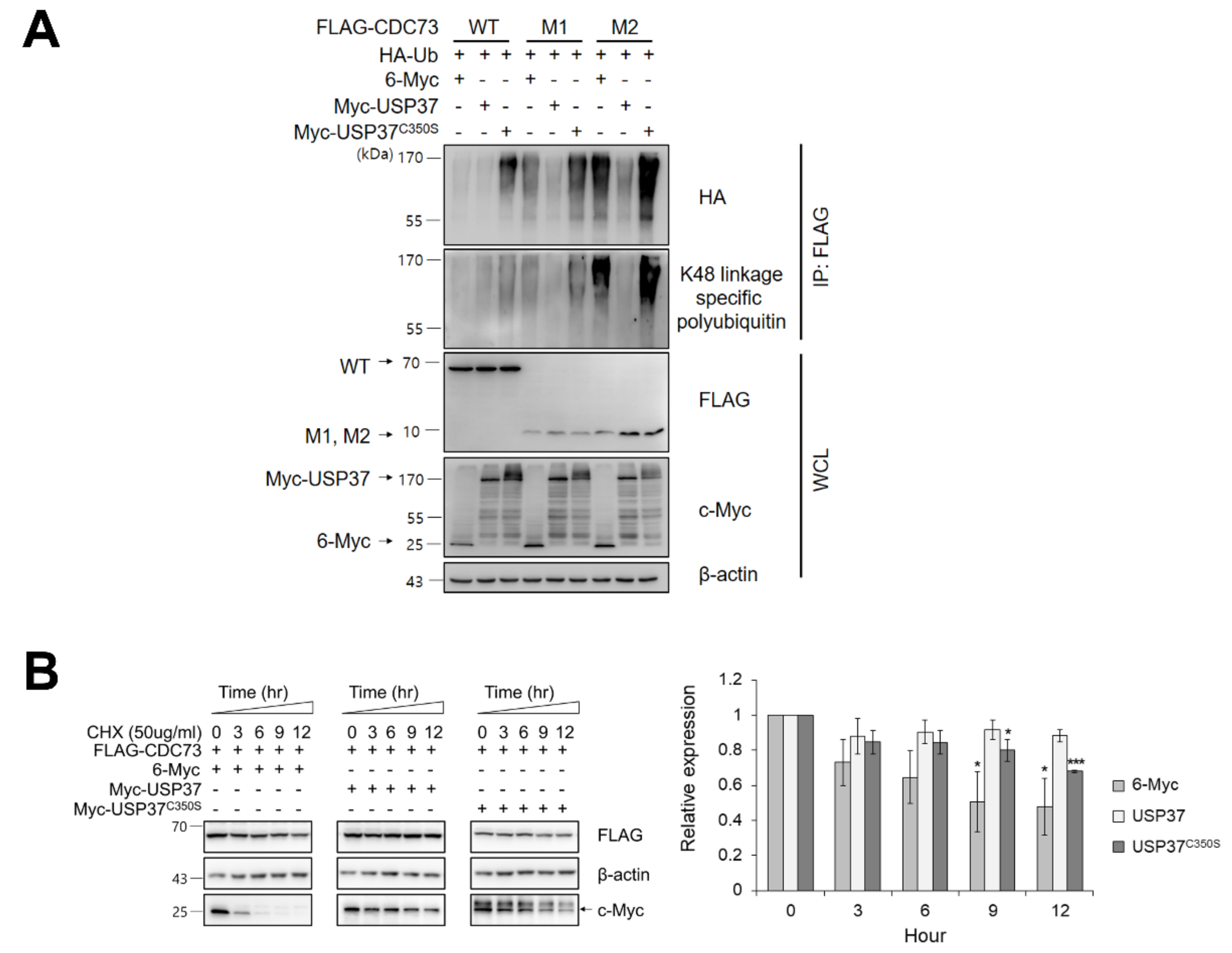Ijms 23 06364 g004 Ijms 23 06364 g004
