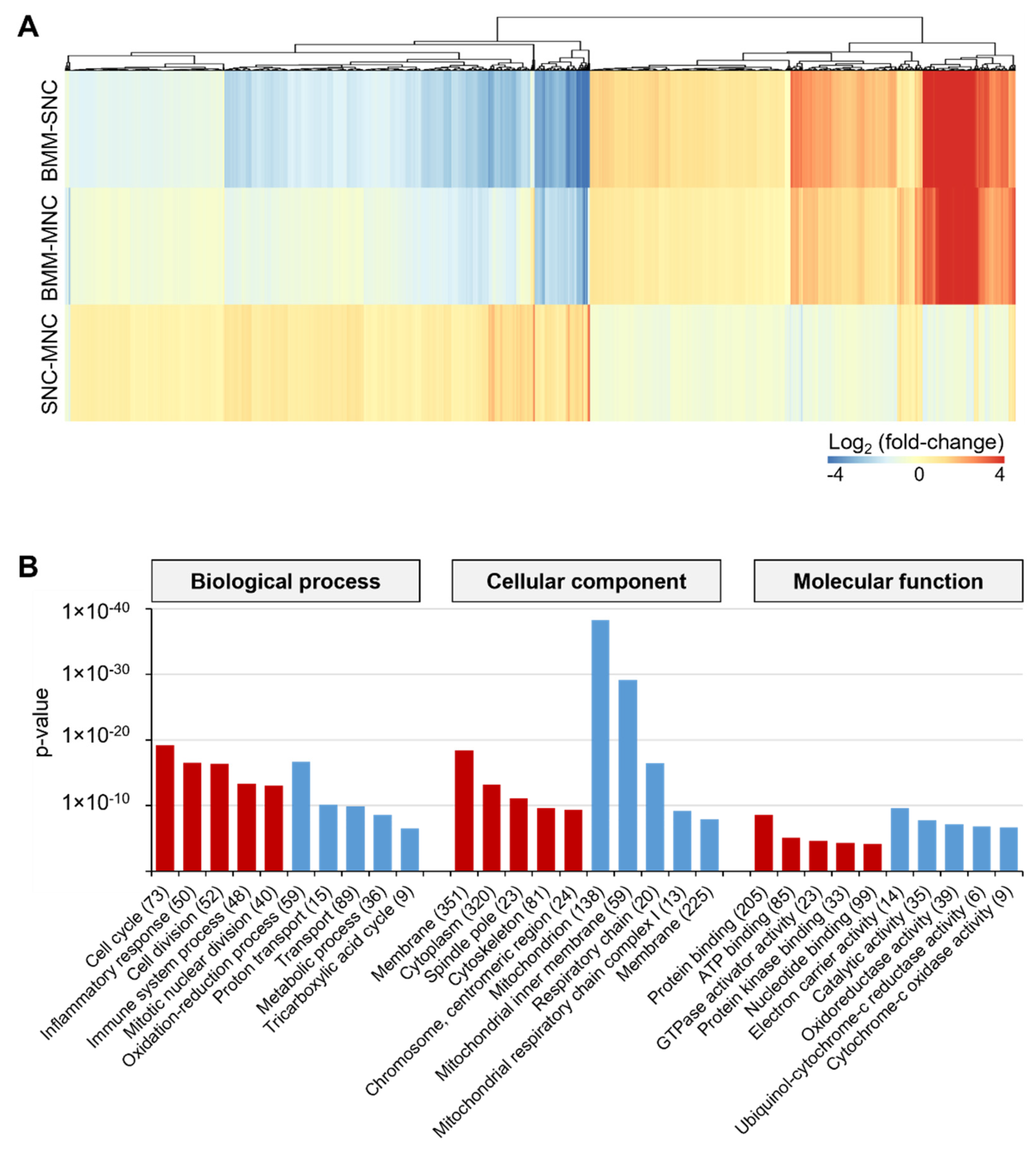 Ijms 23 06421 g002 Ijms 23 06421 g002