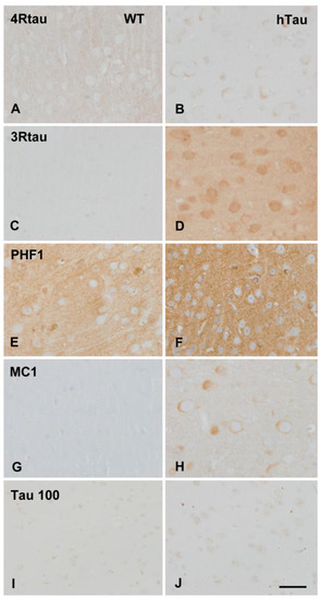 Ijms 23 06427 g001 550