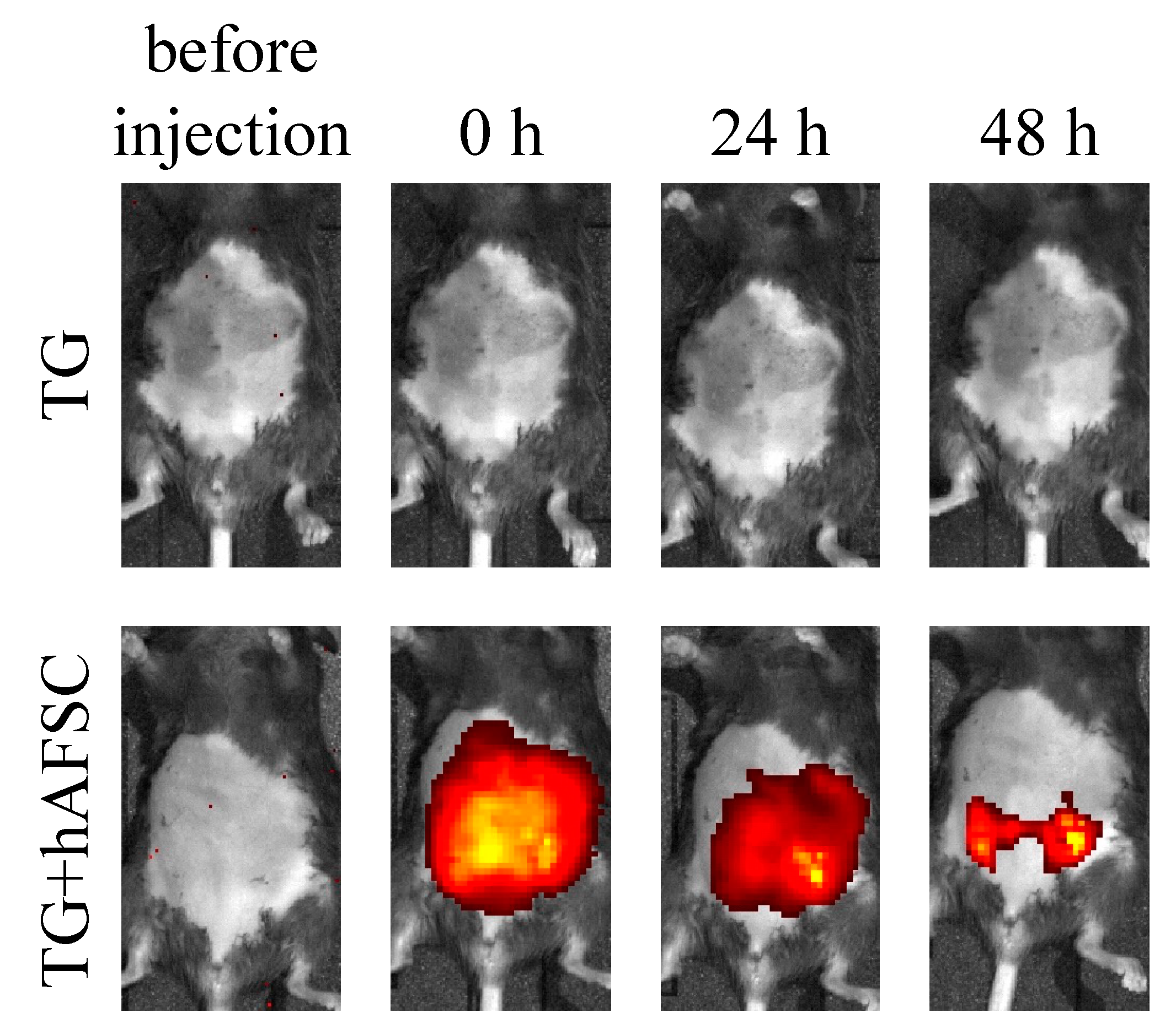 Ijms 23 06433 g003 Ijms 23 06433 g003