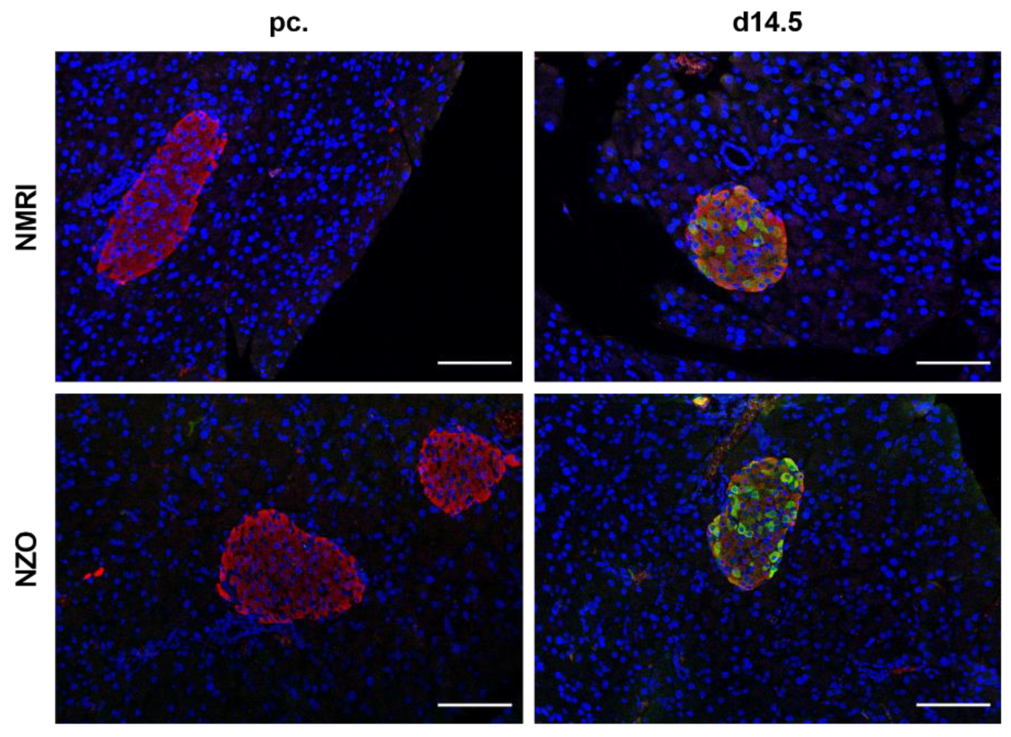 Ijms 23 06434 g002 Ijms 23 06434 g002