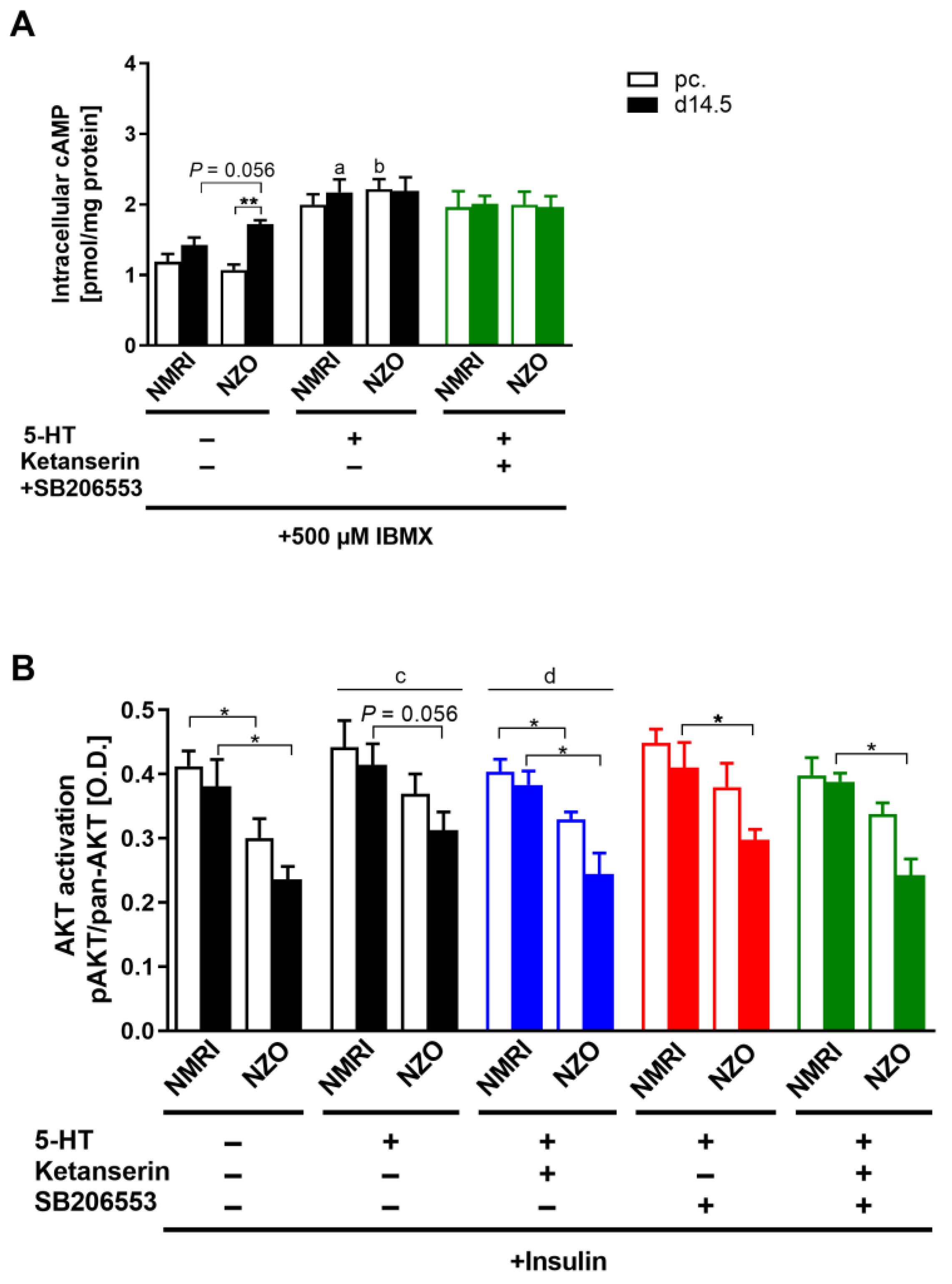 Ijms 23 06434 g008 Ijms 23 06434 g008