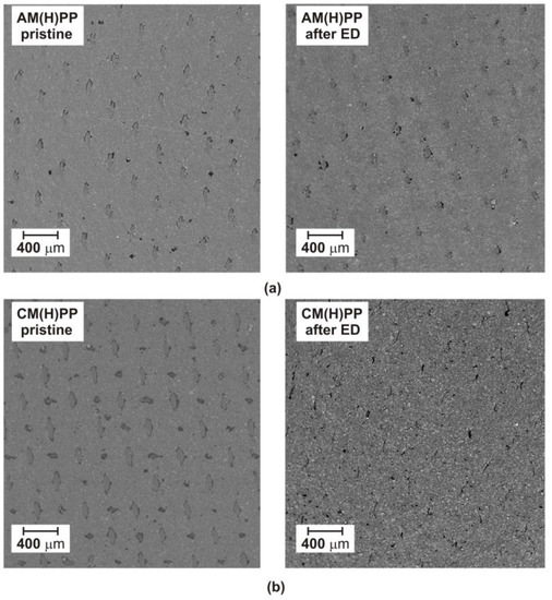 Ijms 23 06472 g003 550