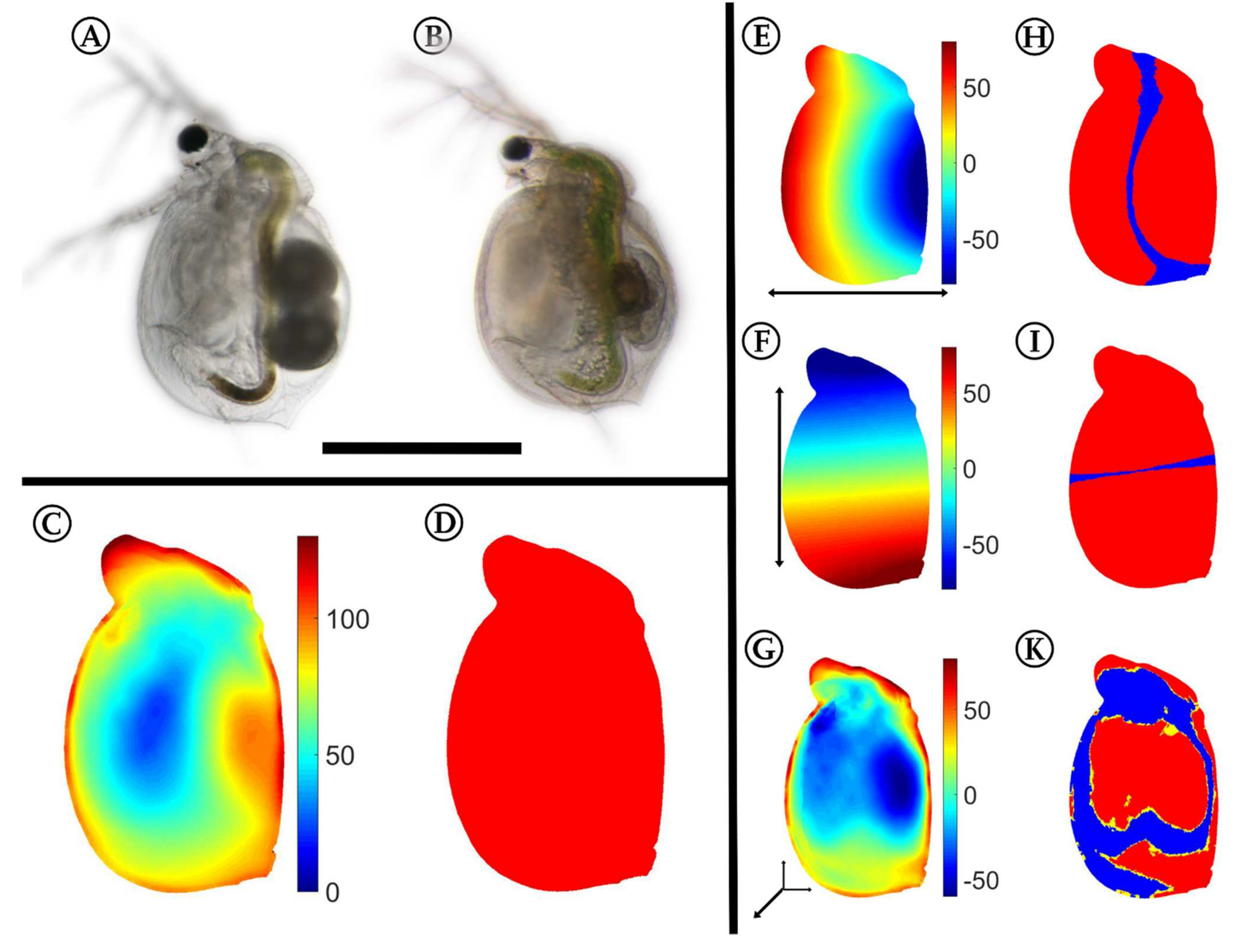 Ijms 23 06474 g002 Ijms 23 06474 g002